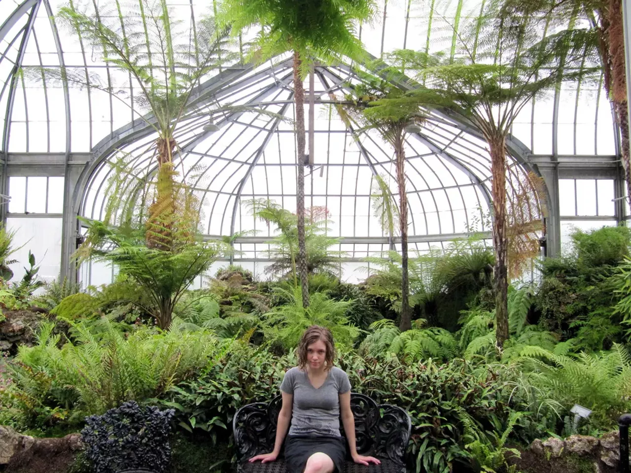 Anna Scripps Whitcomb Conservatory This enormous glass greenhouse is the oldest running conservatory in the country. Split into five sections, you'll find the Palm House, the Tropical House, the Cactus House, a sunken Fernery (pictured here), and the Show House. 900 Inselruhe Ave., Detroit; 313-821-5428 Photo via Flickr, Sara Hattie