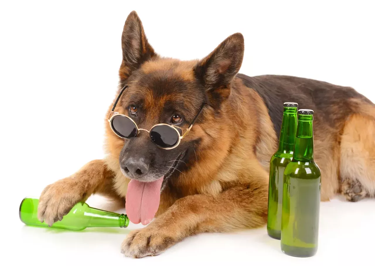 Wednesday, 8/31 Canine to Five&#146;s Drinking with Dogs @ Atwater in the Park