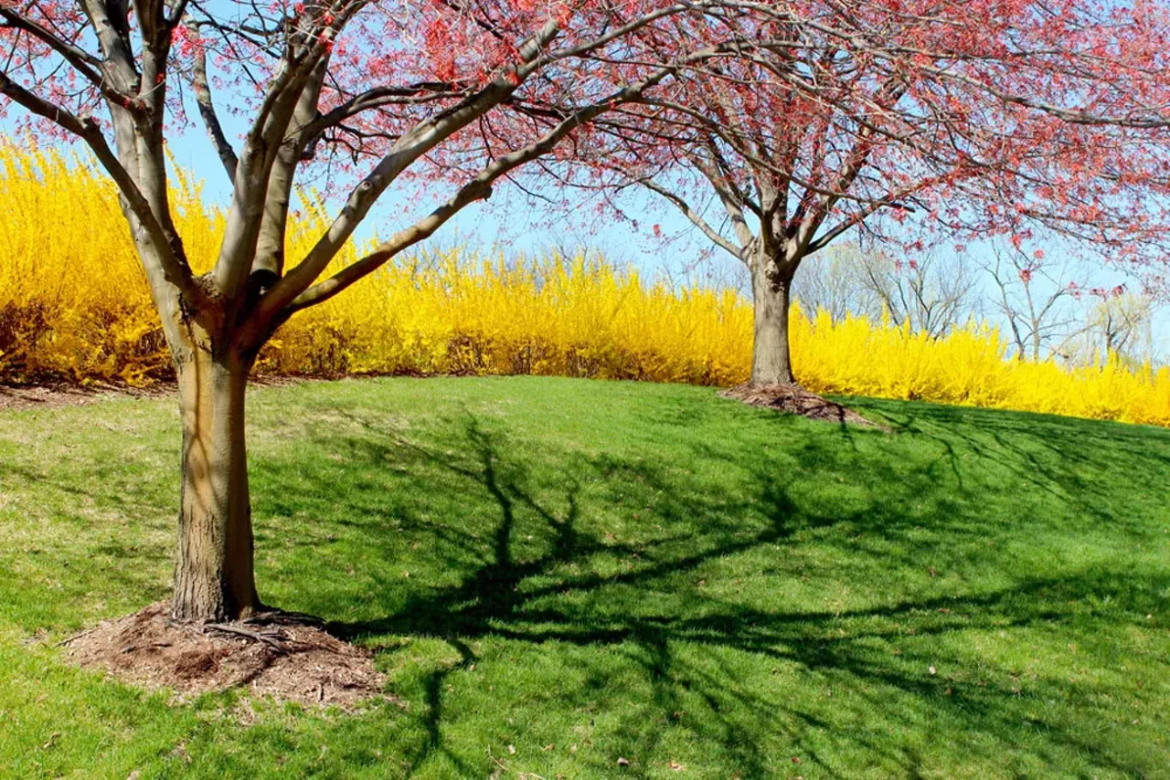 Ann Arbor Not only does Ann Arbor have hidden spots to see the trees, but U of M's campus is like walking around Hogwarts during the fall. Photo by Barbara Eckstein via Flickr.
