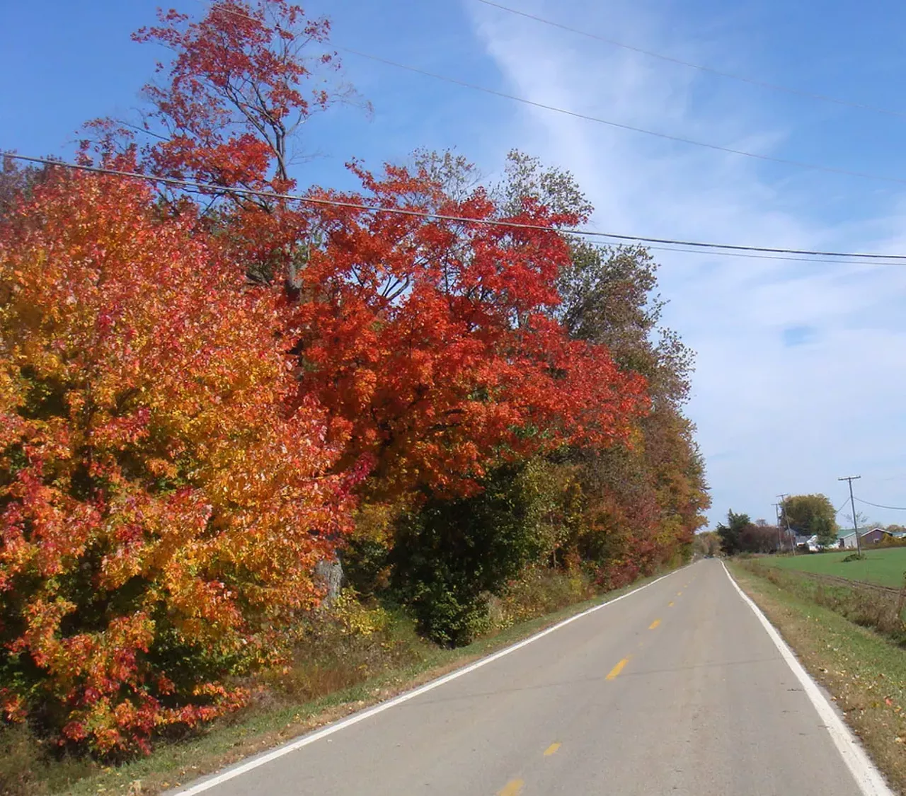 Ray Twp. Anywhere in northern Macomb County or St. Claire County are amazing spots to see the trees change. Plus, there are home to some of the best apple orchards like Blake's or Yate's. Photo by Larry The Biker via Flickr