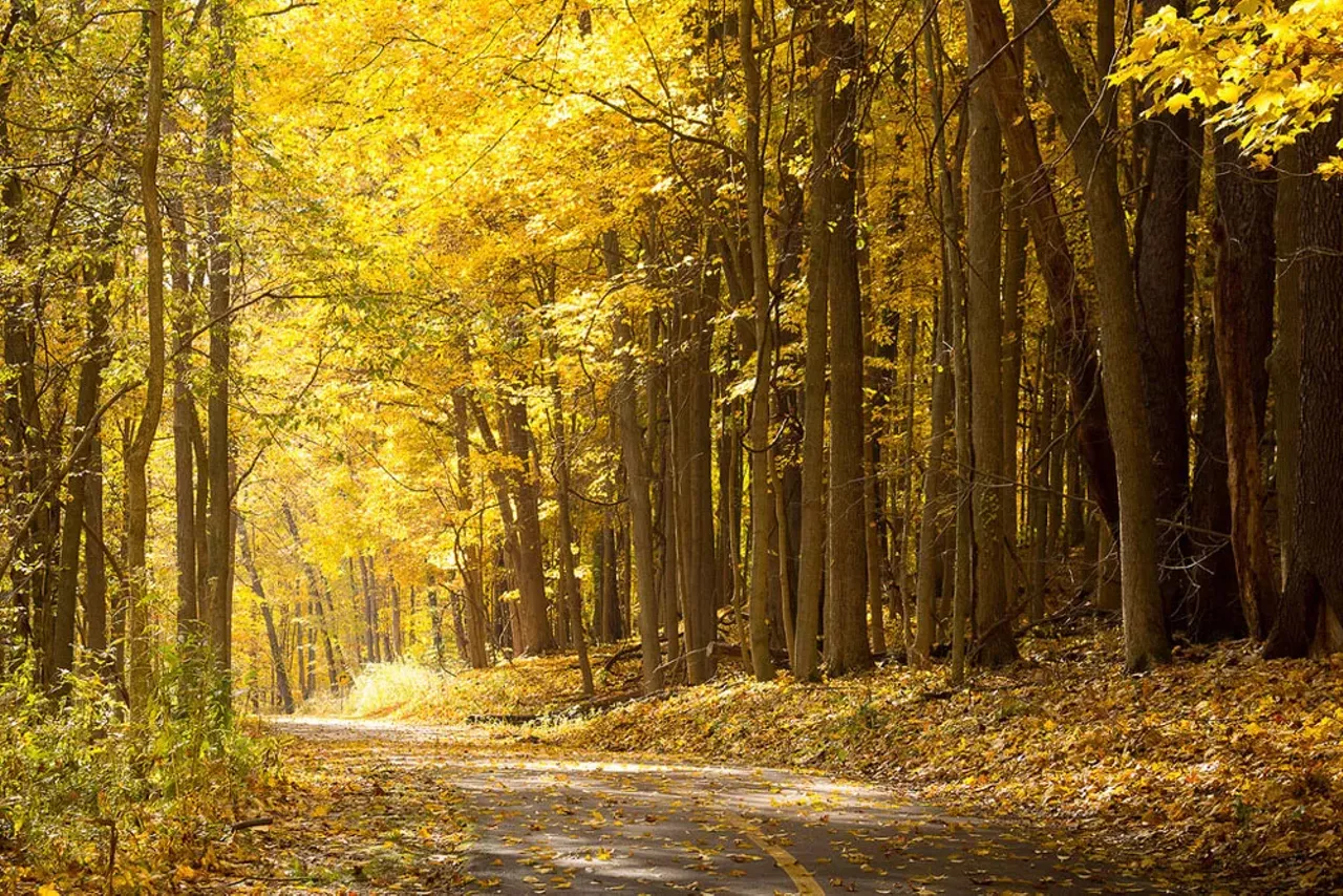 Kalamazoo River Valley Trail If you've never been to Kalamazoo, it is one of the hidden gems of the west side of the state and has gorgeous fall colors. Even walk around WMU's campus or Kalamazoo College and you will see why. Photo by Bill Dolak.