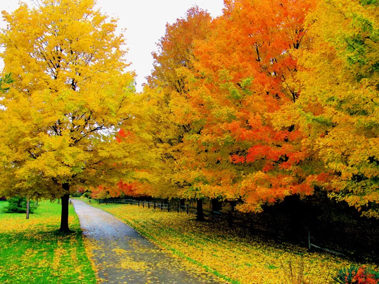 Grandville Head over to this Grand Rapids suburb for the most delicious colors in leaves. You won't be sorry. Photo by Rachel Kramer via Flickr