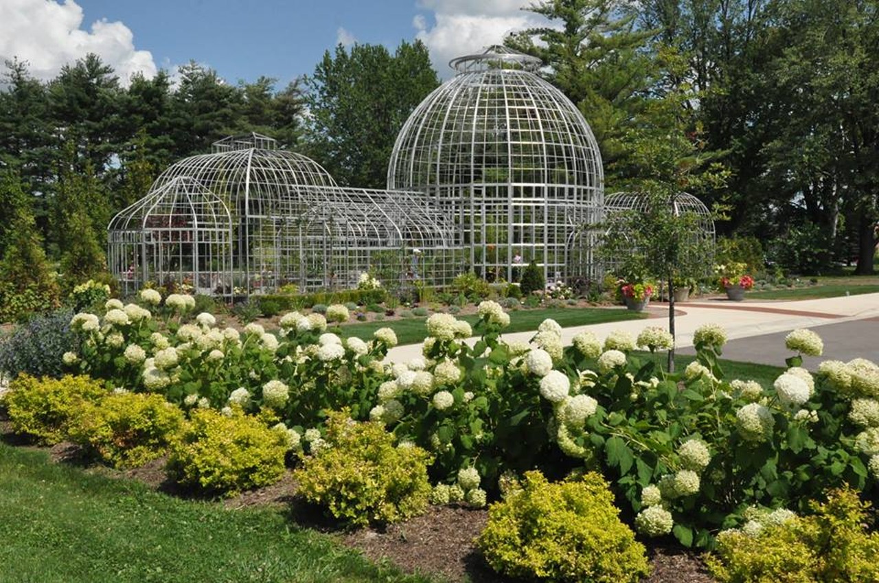 A hidden gem in Taylor since the early 2000s is the Conservatory and Botanical Gardens, which offers programs for both youth and adults, and an exquisite variety of flowers.
Photo via Taylor Conservatory and Botanical Gardens Facebook page