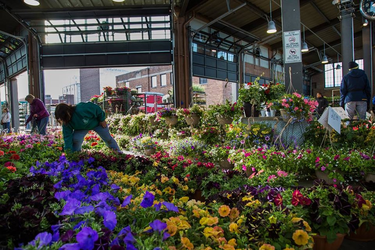 Eastern Market has something for everyone, and is really brought to life by the sun rays of spring. The annual Flower Day is May 21 this year, so come out to peruse the healthy variety of flowers.
Photo via Eastern Market Corporation Facebook page