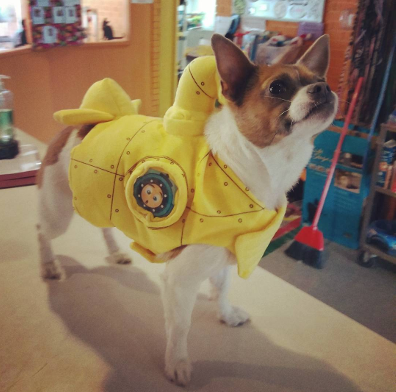 The beetles would be proud of this yellow submarine *Princess @awsmighigan