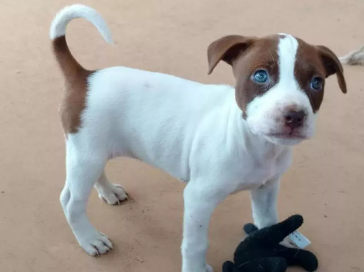 Ava Our hearts are melting and we don&#146;t care who knows.