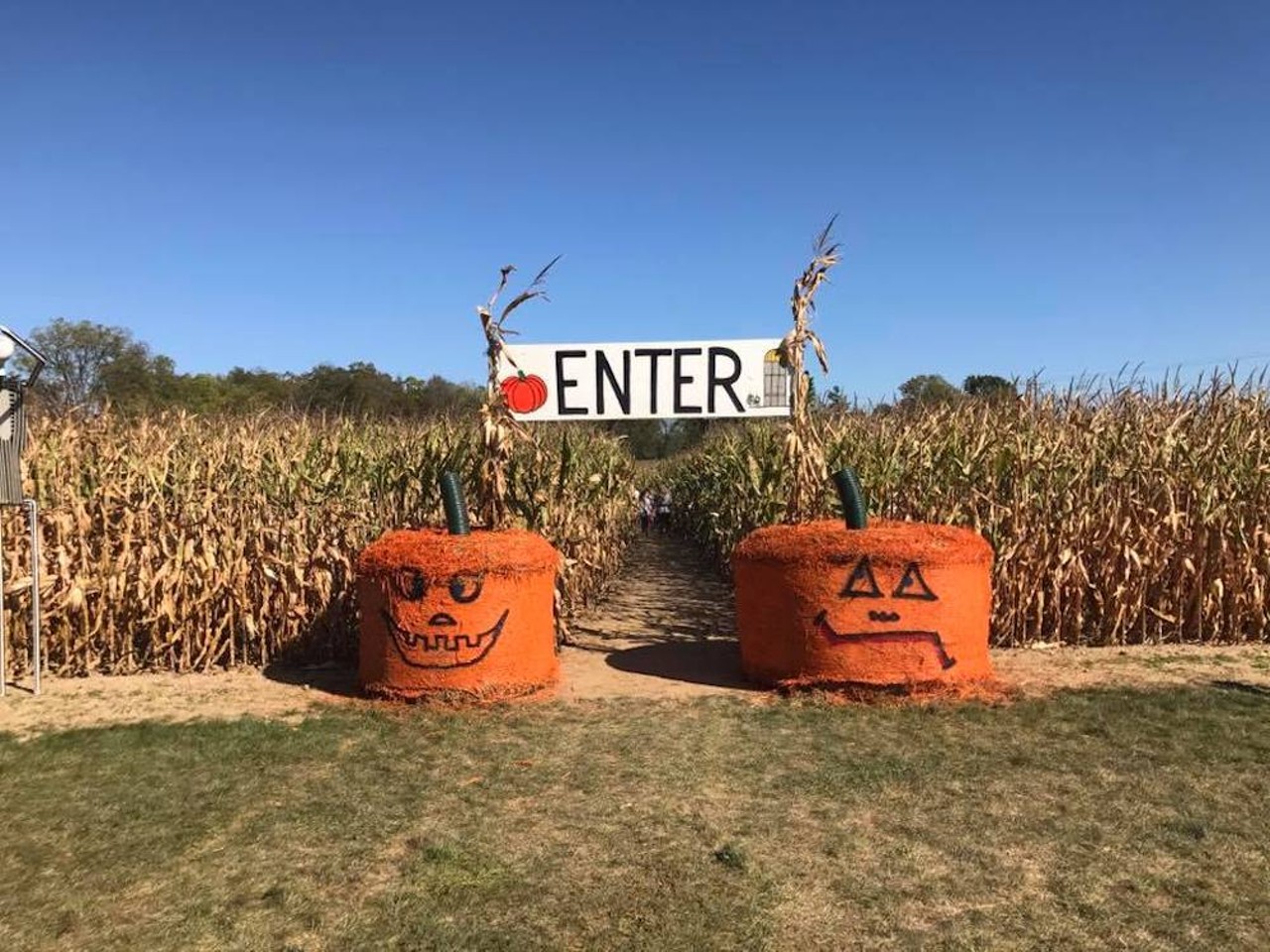 Blast Corn Maze
6175 Daly Rd., Dexter; 734-845-7127; blastcornmaze.com
Blast off into autumn and hopefully find your way out, because Blast Corn Maze in Dexter is not messing around, with 3.5 miles of trails within the maze with three exits, short, medium, and full-length. This year&#146;s design features none other than the bloodsucker himself, Dracula. Not into mazes? Just pick a pumpkin, ya dingus.
Photo via The Blast Corn Maze/Facebook