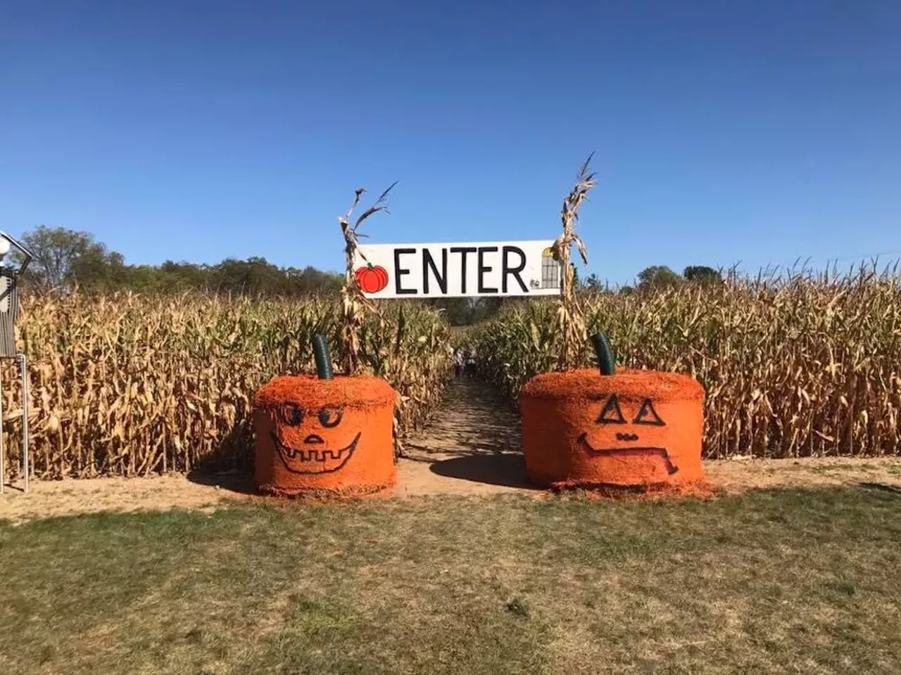Blast Corn Maze 6175 Daly Rd., Dexter; 734-845-7127; blastcornmaze.com Blast off into autumn and hopefully find your way out, because Blast Corn Maze in Dexter is not messing around, with 3.5 miles of trails within the maze with three exits, short, medium, and full-length. This year&#146;s design features none other than the bloodsucker himself, Dracula. Not into mazes? Just pick a pumpkin, ya dingus. Photo via The Blast Corn Maze/Facebook