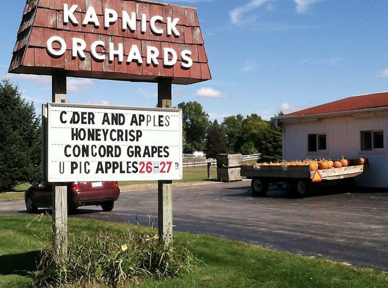 Kapnick Orchards
4245 Rogers Hwy., Britton; 517-423-7419; stonycreekorchard.com
Opened in 1958, Kapnick Orchards has its own product line, bakery, and cider mill. And for all you pumpkin freaks out there, of which we know there are many, you can pick your own. Not into pumps? You can pick apples, too, and sweet cherries, blueberries, peaches, tart cherries, and peaches, when in season. 
Photo via Kapnick Orchards/Facebook