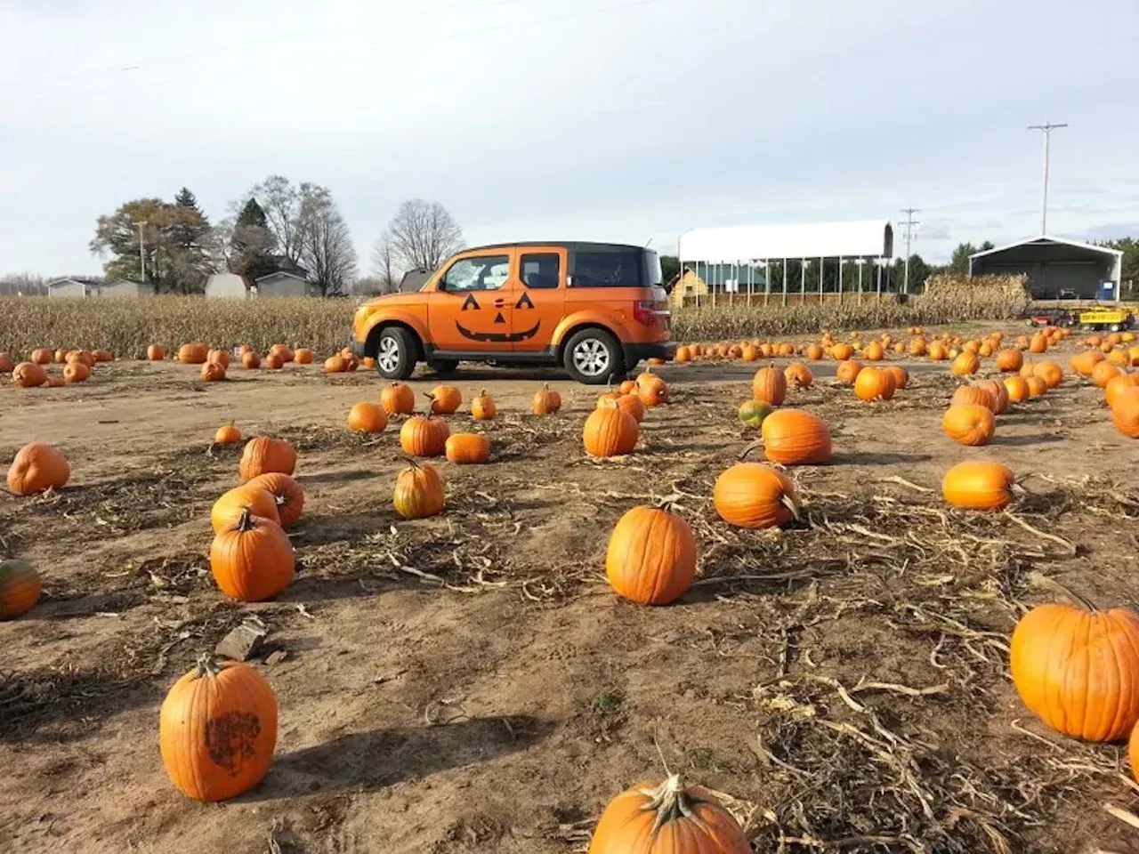 Pahl&#146;s Pumpkin Patch
11168 M-37, Buckley; 231-269-4400; pahlspumpkinpatch.com 
Keeping it simple &#151; and simply orange &#151; is Pahl&#146;s Pumpkin Patch, which offers a U-pick patch for all your pumpkin needs, as well as a corn maze, doughnuts, cider, and gourds. 
facebook.com/Pahls-Pumpkin-Patch