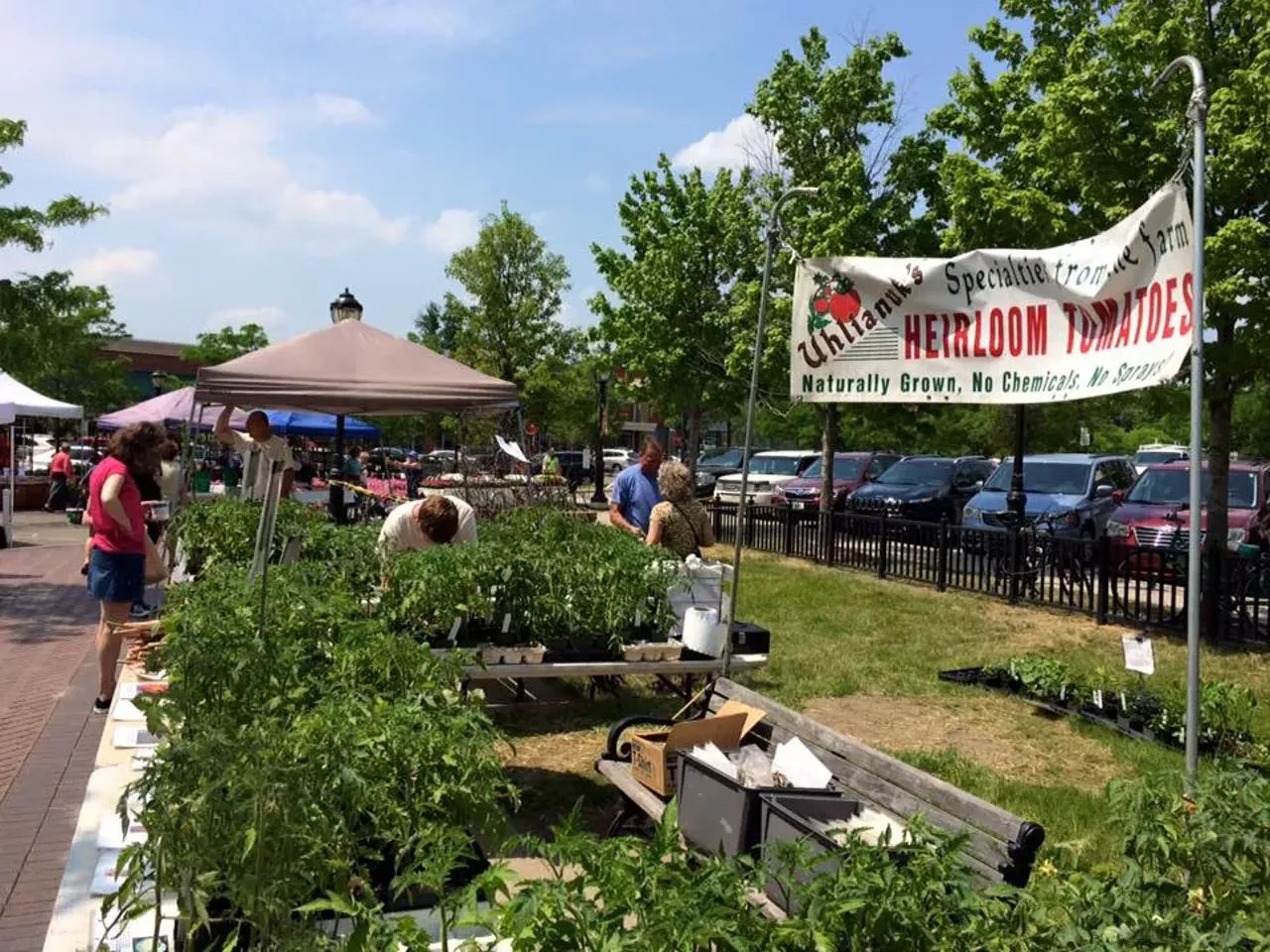 Farmington Farmers and Artisans Market Farmington Hills, MI You can find Michigan grown produce, local artisan prepared foods, baked goods and sweets.Open Saturdays 9am-2pm May through November. Photo via Facebook: Farmington Farmers and Artisans Market