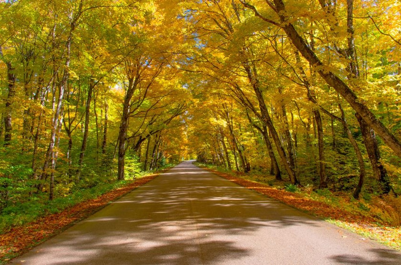 Tunnel of Trees
Emmet County, MI
Drive through the falling leaves in the Tunnel of Trees along M-119, where the changing  leaves turn this classic Michigan spot into an explosion of reds, oranges, and yellows. 
Photo via  Scott Wedell / Flickr Creative Commons