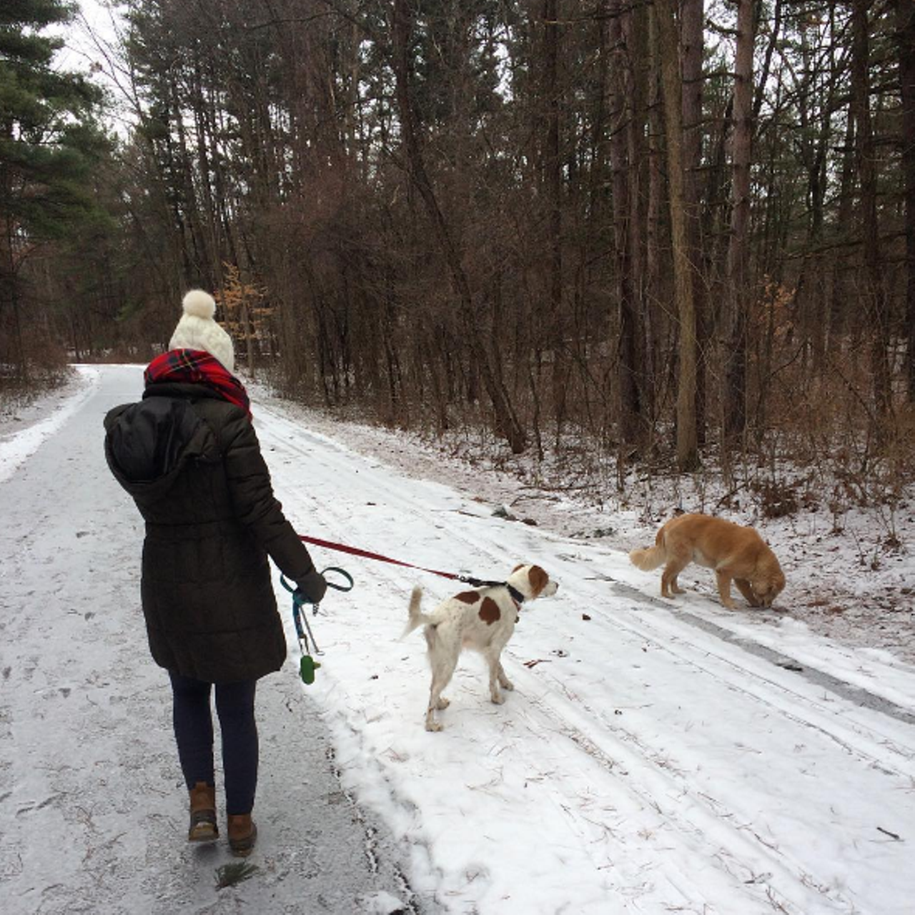 Maybury State Park Hiking Trail Northville This hiker friendly trail is a gem for those wanting to escape suburbia. The four mile hike takes you through rolling hills and other trails in the park. If you get winded, there are picnic tables and restrooms clearly labeled and spread throughout the trail so you can stop and check out the beautiful winter scenery before it's all gone. Photo via IG user @rodneystrong