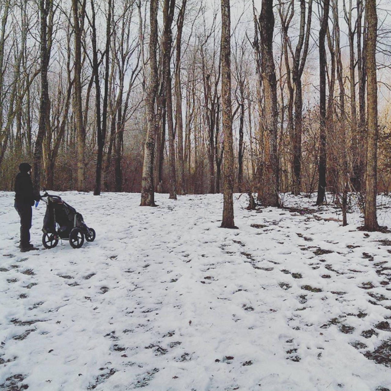 Rolling Hills Park Ypsilanti This park has 5 miles of paved trails, and then 3 miles of hiking trails that have stunning views and observation decks for that perfect Instagram post. Oh, and there are sections that are accessible for people that are handicapped. The trails are dog friendly so don&#146;t leave Fido at home on this one. Photo via IG user @dersmundquinn