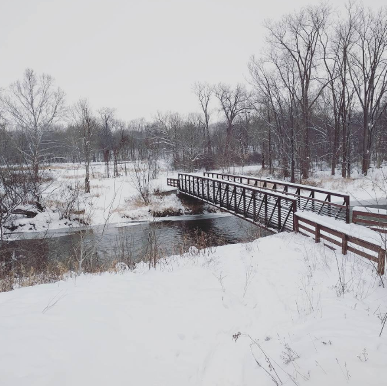 River Bends Mountain Bike Trail Shelby Township This trail that&#146;s a part of Holland Ponds Park&#146;s Great Blue Heron Rookery takes you through 4.3 miles of pure nature. You can bike, hike or if you're feeling adventurous, cross country ski your way through these winding woods Photo via IG user @gragey