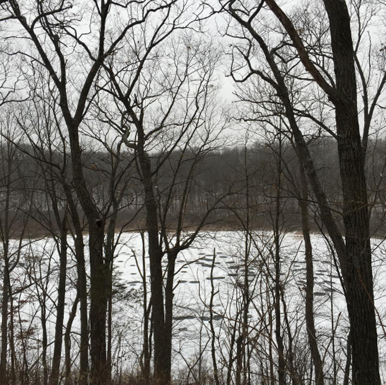 Park Lyndon County Park Lyndon Township One of southeastern Michigan&#146;s finest natural area preserves, this hilly terrain has a great view of Lake Genevieve. The trail connects to the state&#146;s Waterlook-Pinkney Trail for a combined hiking experience of almost 50 miles. Photo via Instagram