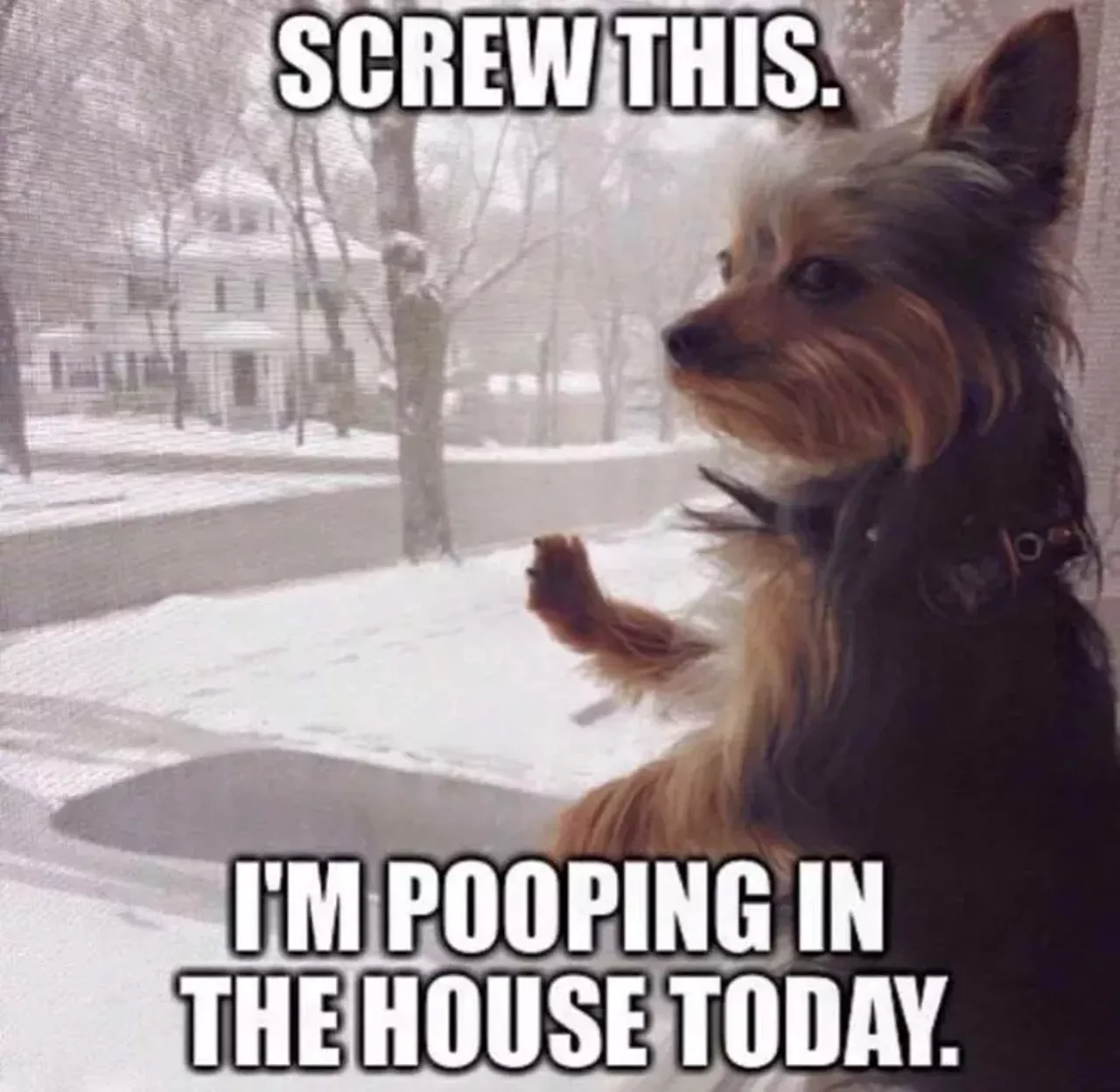 Image: 20 memes that perfectly encapsulate how Michiganders feel about the polar vortex