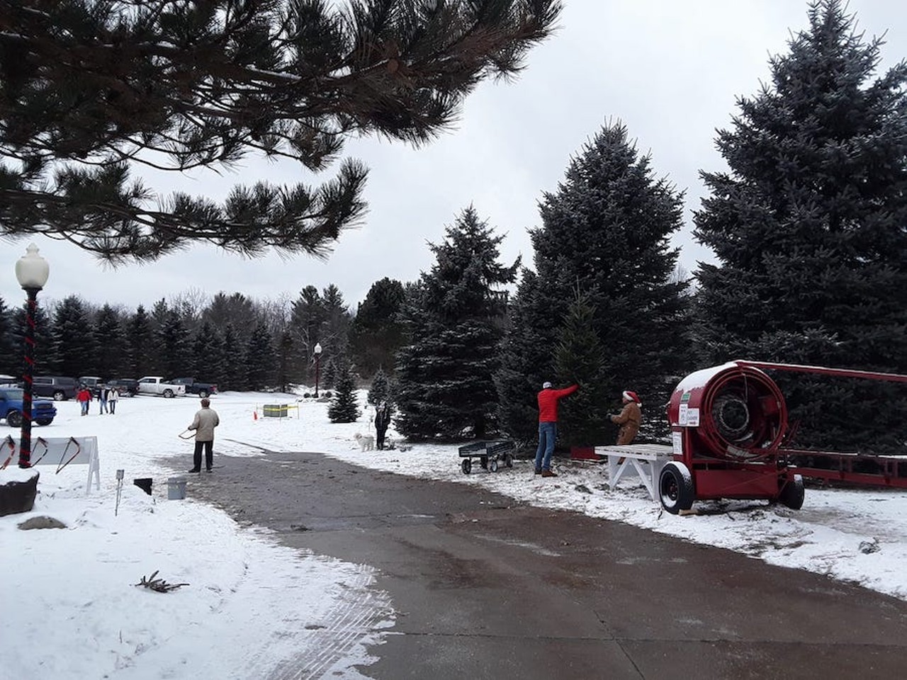 Addison Oaks Tree Farm
355 Lake George Rd., Oakland; 248-814-0583; addisonoakstrees.com
This family-owned Christmas tree farm established in 1988 is a full-service spot to get your holiday greenery. This year, they&#146;ve reduced their hours to just servicing folks and their trees on weekends through Dec. 20. Once you snag the tree of your dreams, Addison Oaks will provide twine to secure that sappy baby to your car, and all trees are run through this cool machine that shakes your tree to remove debris (try not to think too hard about possible birds nests being thrown asunder). Anyway, they have a limited supply of bargain trees, and they have tree bailing and drilling services available for a fee. 
Photo via Addison Oaks Tree Farm/Facebook