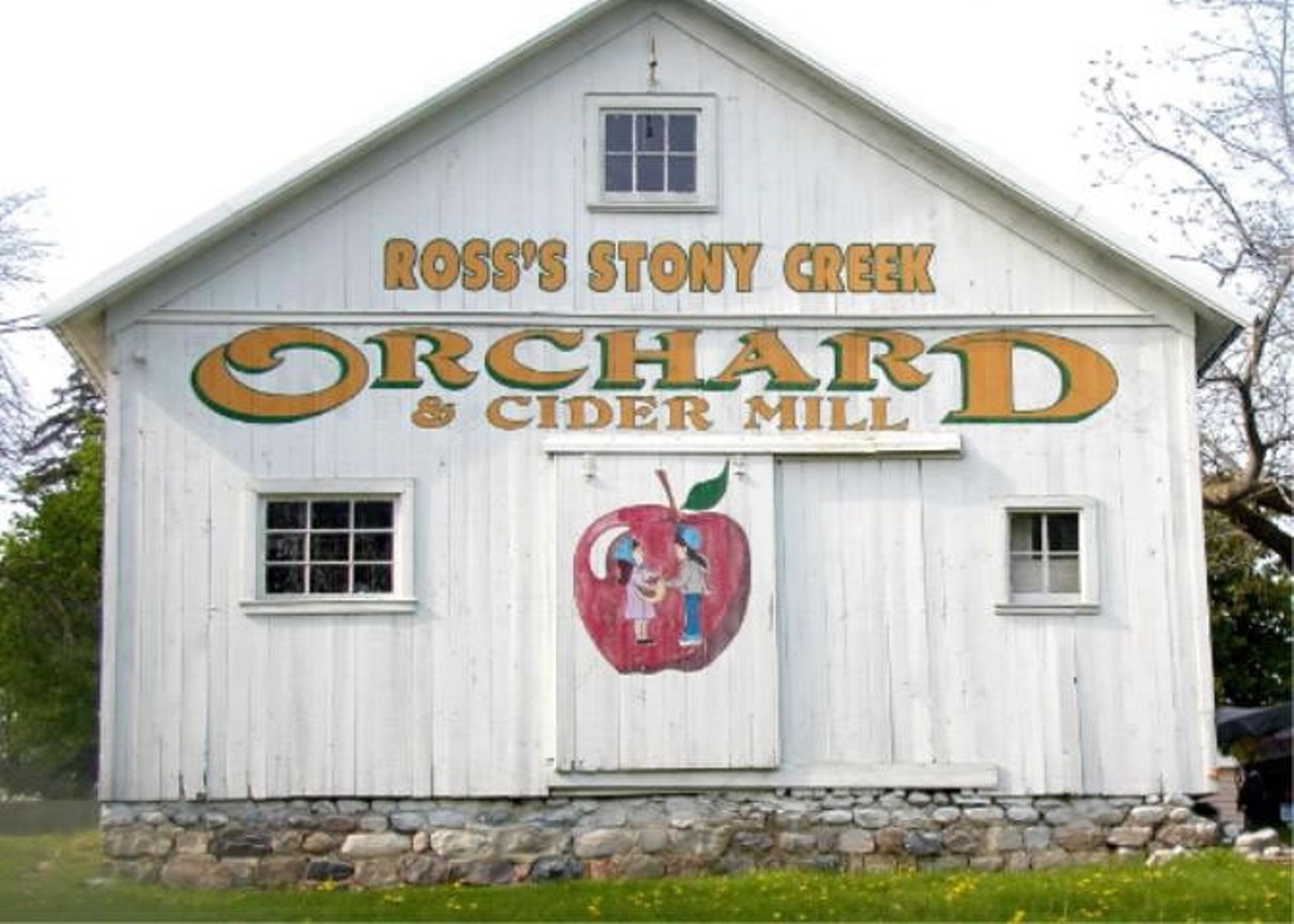 Stony Creek Orchard & Cider Mill
Stony Creek Orchard & Cider Mill has everything for your fall needs. This place has apples ready for your own picking, pumpkin patches, and fresh apple cider. Tractor-pulled hay rides, wagon rides, and honey from hives located on the farm are a fall plus too. Don't forget to pick-up some already picked produce and to visit the gift shop full of snacks along with a refreshment stand.
2961 32 Mile Rd., Romeo
586-752-2453
Everyday hours 10 a.m.-6 p.m.
Photo via Facebook user @StonyCreekOrchard&CiderMill
