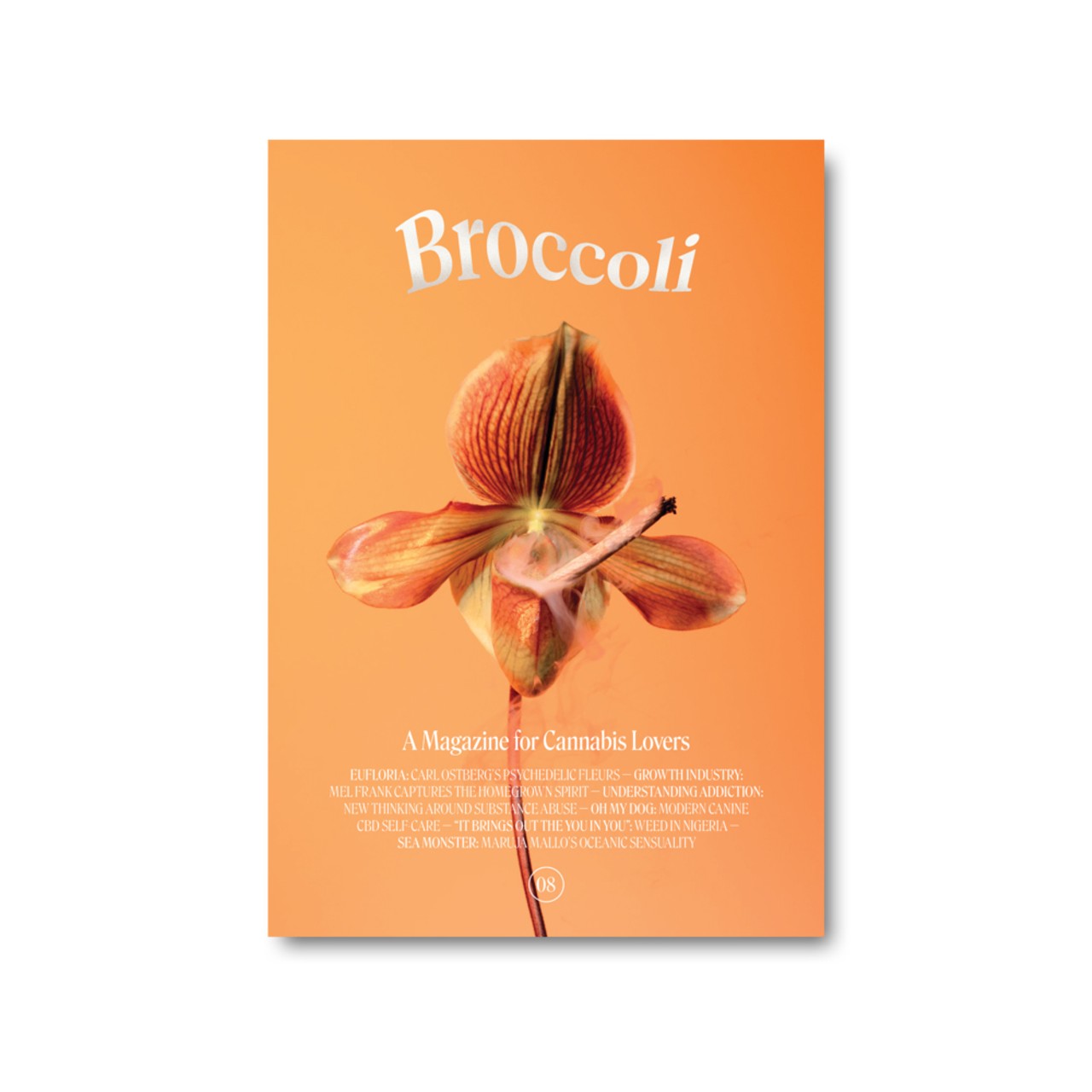 For those who want to support women-owned publications
Broccoli magazine, $8.99
New Standard, 24906 John R Rd., Hazel Park; 248-873-0420; anewstandard.com
While the cannabis industry remains a male-dominated field, women have been using cannabis since, like, the dawn of time. In fact, according to ancient Egyptian medical text, cannabis is described as medicine for active labor as far back as 1500 BCE. Hell, reports suggest Roman women from 600 BCE-500 BCE also used cannabis for labor pains. But cannabis, regardless of the industry, is the people&#146;s plant, which is what Broccoli magazine is all about. Throughout its tri-annual publication, which has been created by an all-women team with an international network of contributors, Broccoli examines art, culture, fashion, and news relating to cannabis across the globe and encourages a personal journey of self-discovery through cannabis. Oh, and they&#146;re really beautifully made and are a great addition to that stack of High Times on your coffee table.