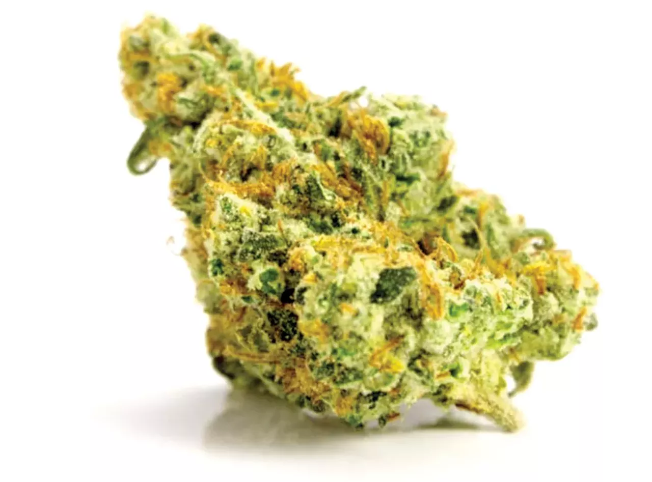 For the lover of all things organic Mint Chocolate chip, certified organic, 28.6% THC, $47/eighth Apothecare Cannabis, 2793 Plymouth Rd. Suite C, Ann Arbor; 734-800-2004; apothecareannarbor.com Organic isn&#146;t just a buzzword touted by the likes of Gwyneth Paltrow, splattered across every damn overpriced Whole Foods product. Organic consumption is a lifestyle, which is good news for Michigan&#146;s only organic certified dispensary. Apothecare Cannabis is certified by Certified Kind as 100% organic, with sustainable growing techniques free of pesticides, herbicides, and synthetic fertilizers. They also make use of energy-efficient environmental controls and LED lighting.