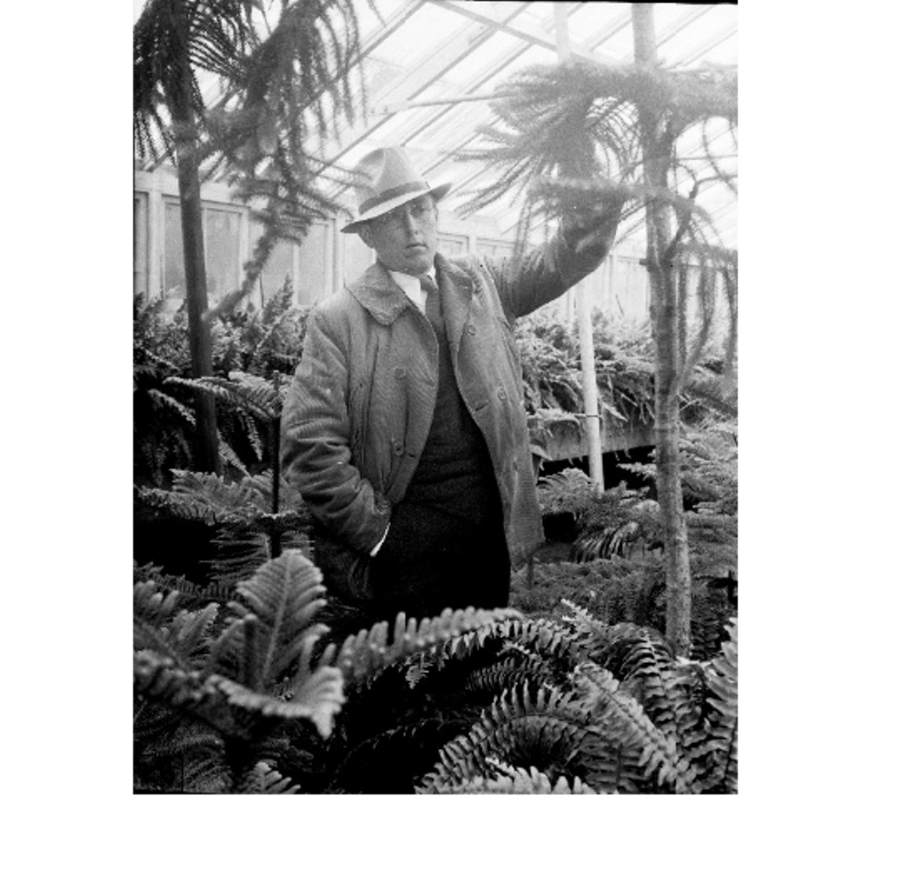 Frank A. McInniS,  Detroit Zoo Director. (Date unknown)