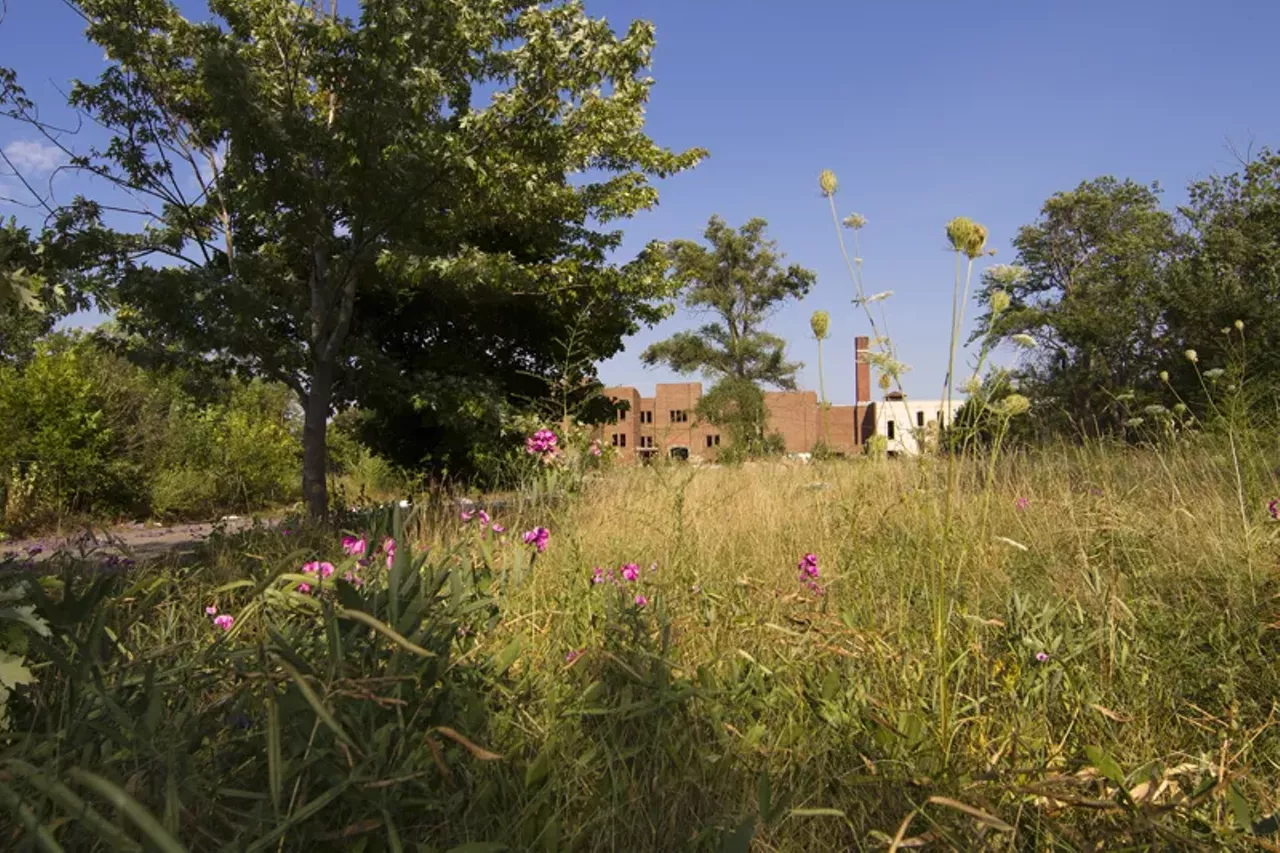 Image: 20 photos showing how nature is reclaiming Detroit