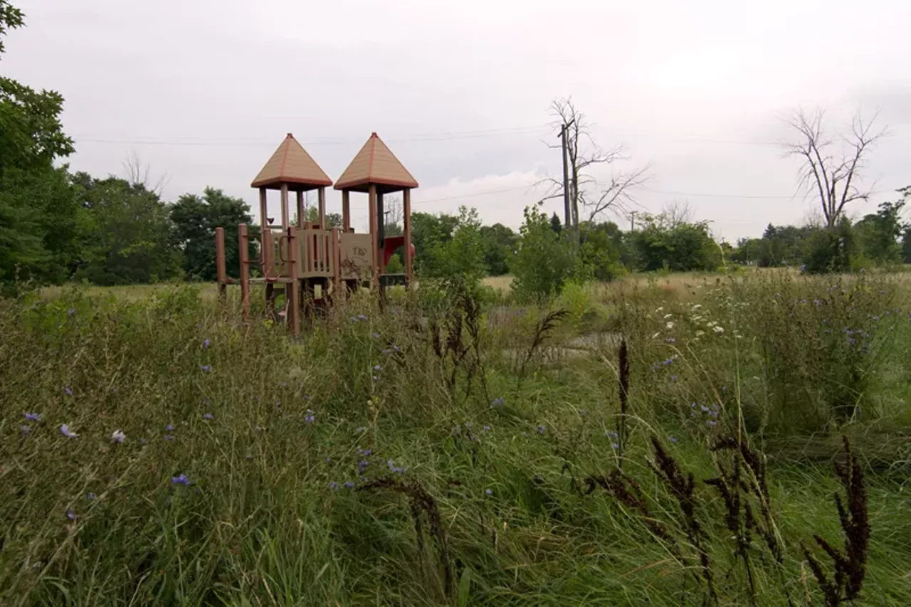 Image: 20 photos showing how nature is reclaiming Detroit