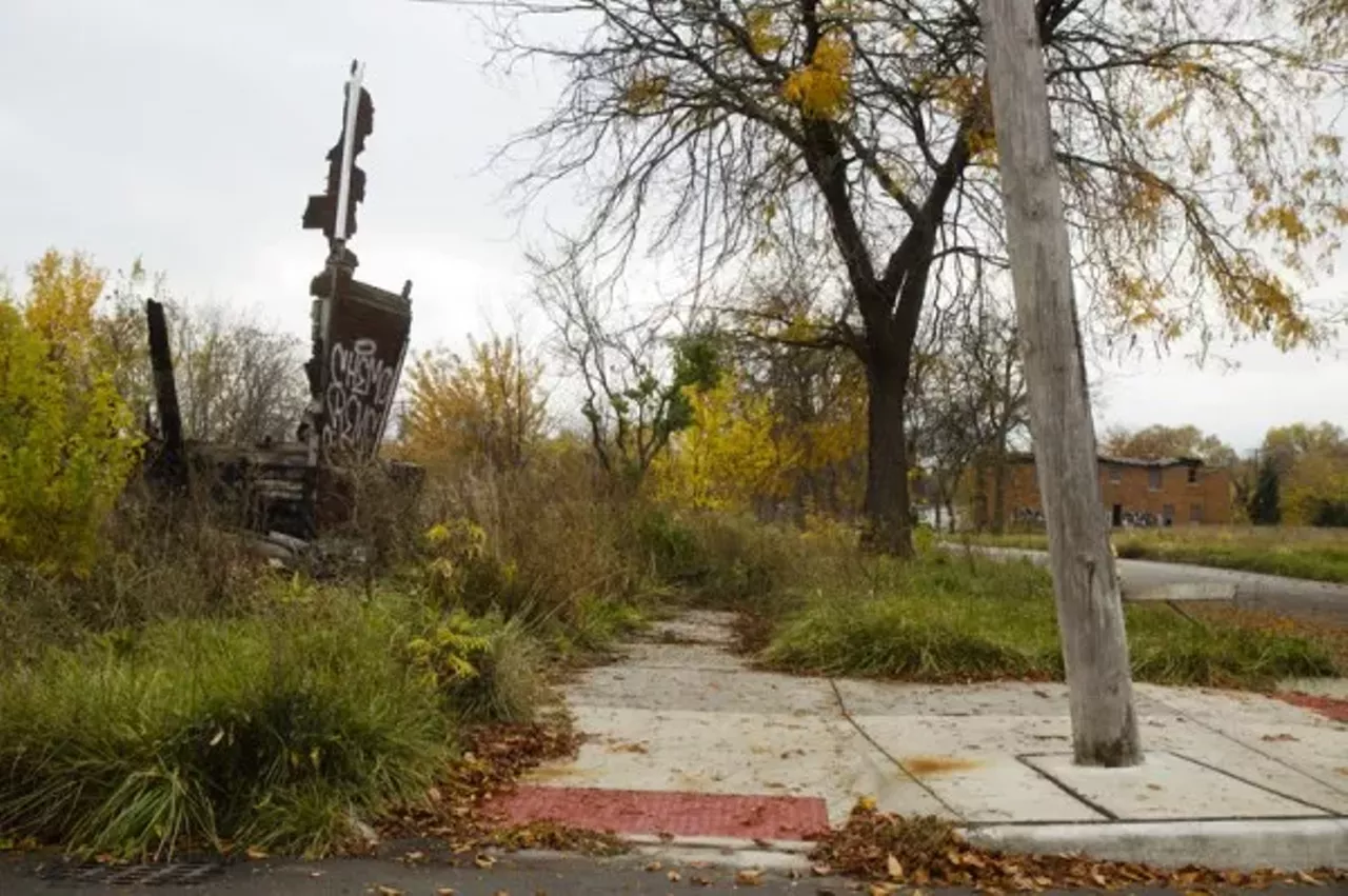 Image: 20 photos showing how nature is reclaiming Detroit