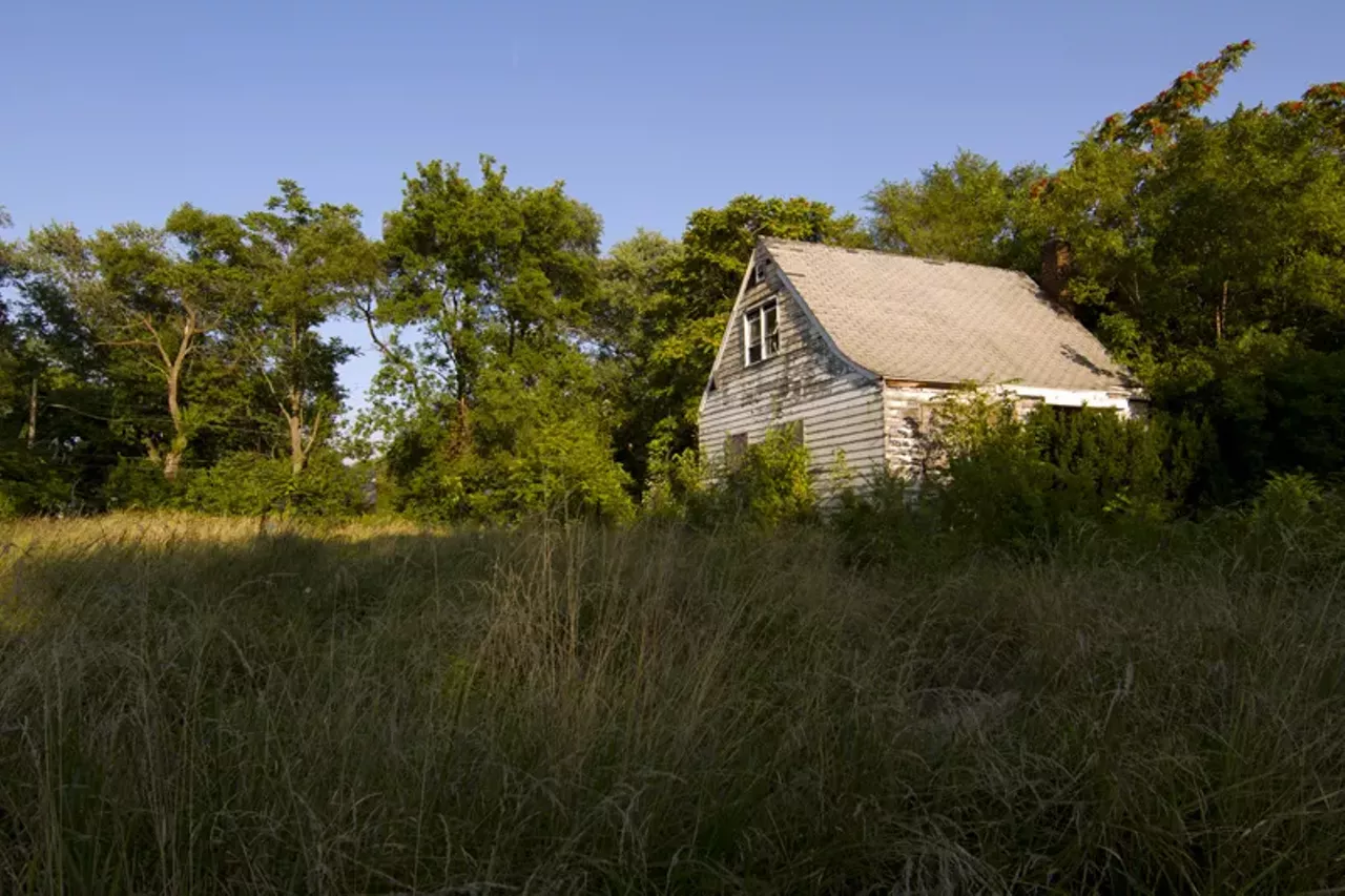 Image: 20 photos showing how nature is reclaiming Detroit