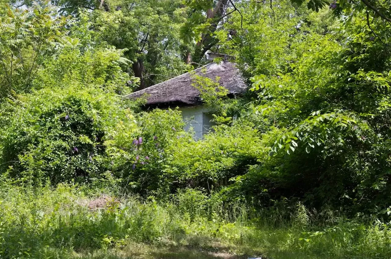 Image: 20 photos showing how nature is reclaiming Detroit