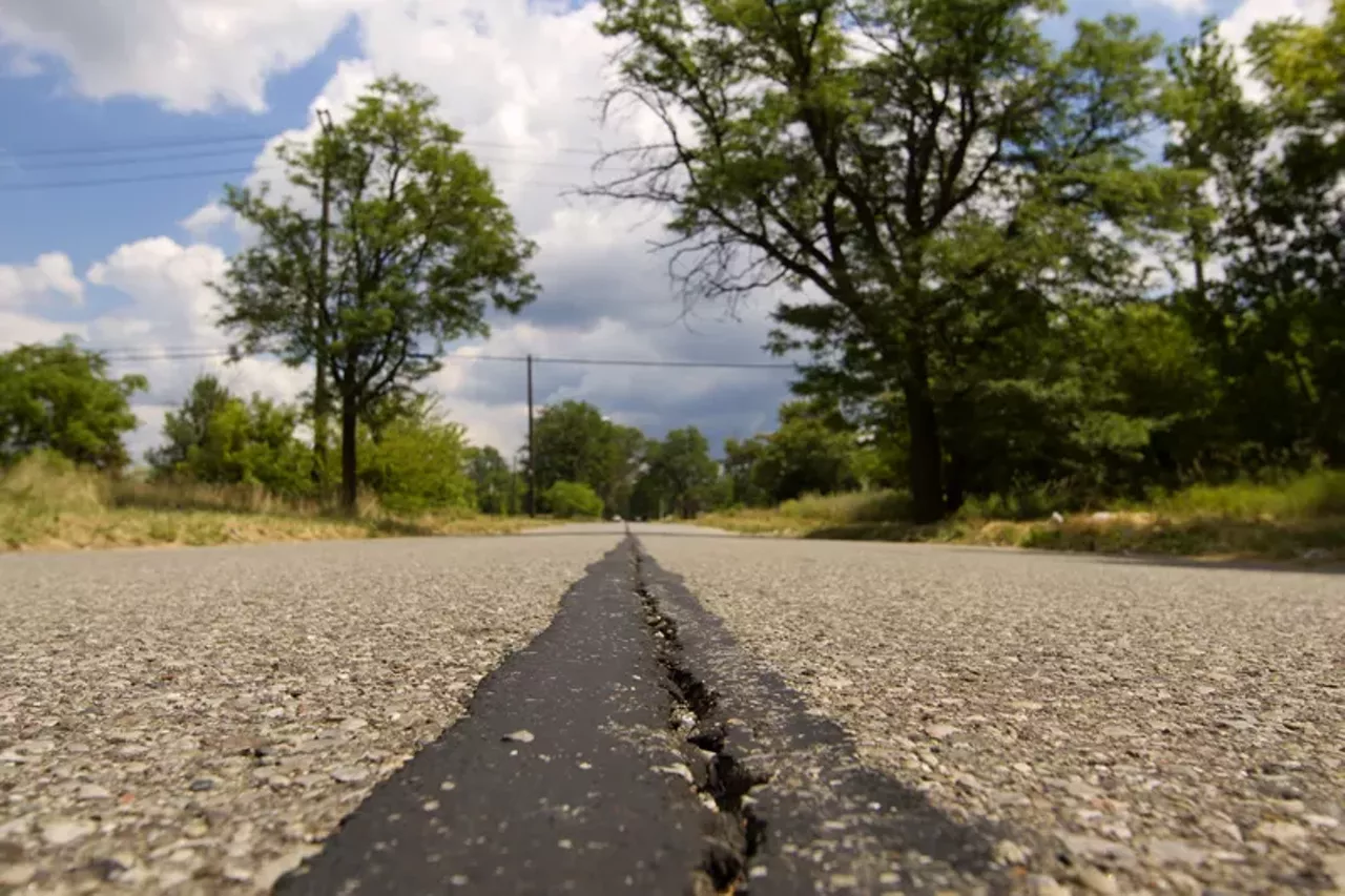 Image: 20 photos showing how nature is reclaiming Detroit