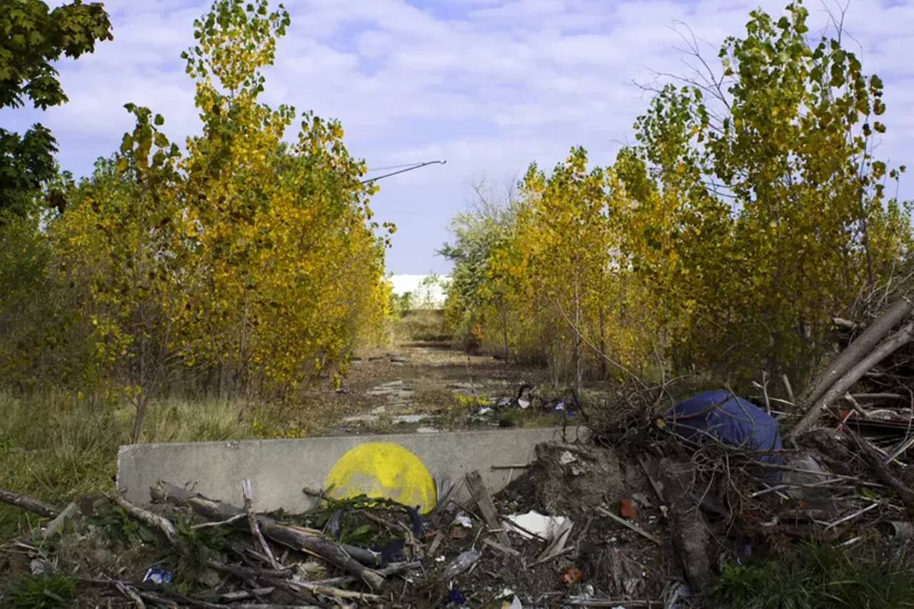 Image: 20 photos showing how nature is reclaiming Detroit