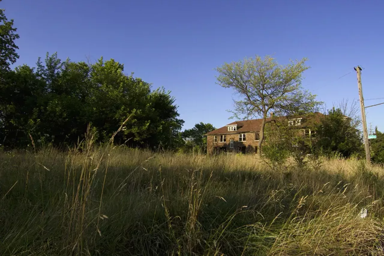 Image: 20 photos showing how nature is reclaiming Detroit