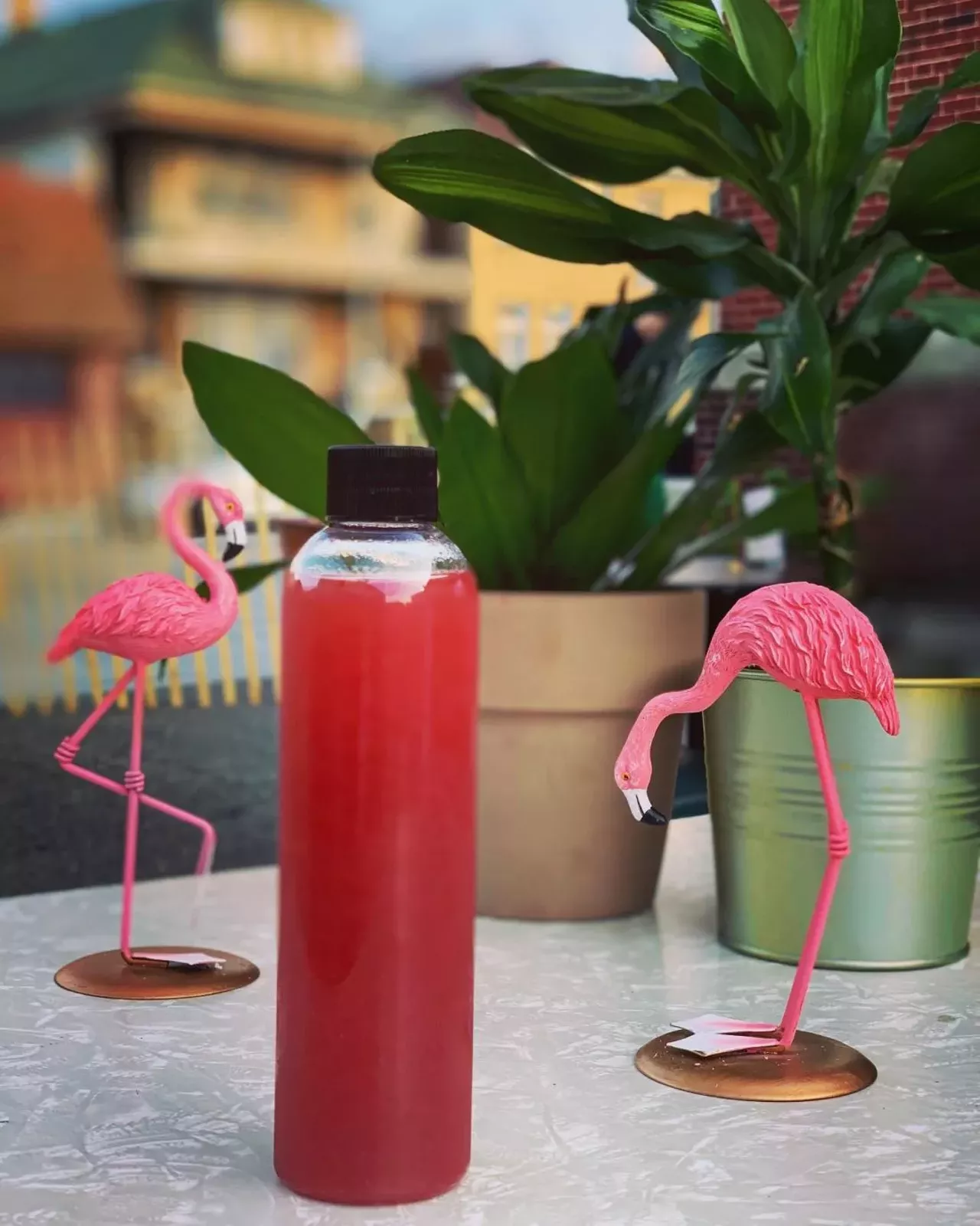 20 places to grab cocktailstogo in metro Detroit