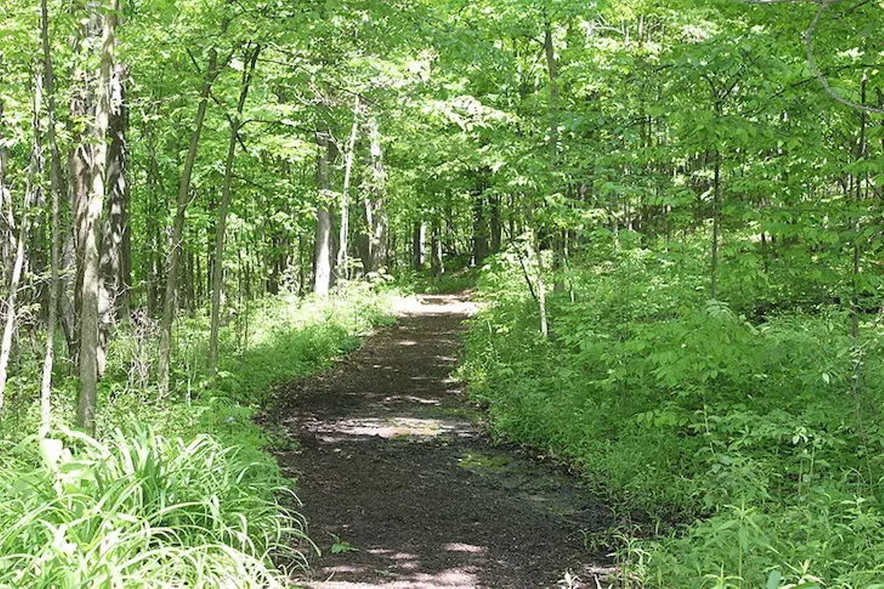 Cherry Hill Nature Preserve 6375 Cherry Hill Rd; Superior Charter Twp. From wetlands, woods, and meadows, Cherry Hill has a 1.6-mile loop set in a wooded forest with a trail system that supports hiking, walking, and nature trips.