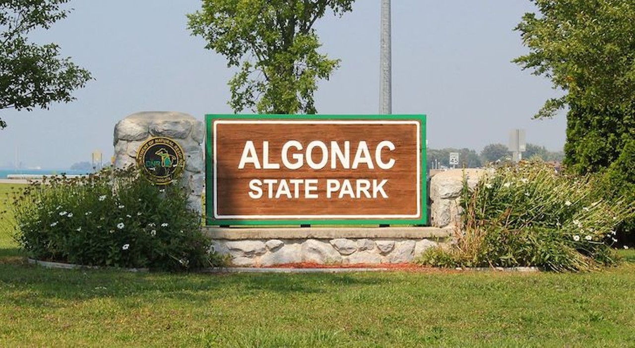Algonac State Park
8732 River Rd., Marine City; 810-765-5605; dnr.state.mi.us
With 1,500 acres and a half-mile of St. Clair River frontage, Algonac State Park offers easily accessible habitats.