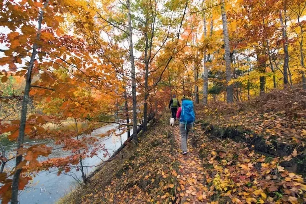 Tahquamenon Falls State Park 41382 W. M 123, Paradise; 906-492-3415; dnr.state.mi.us Tahquamenon Falls State Park is over 50,000 acres which gives visitors and hikers a lot to explore and look at.