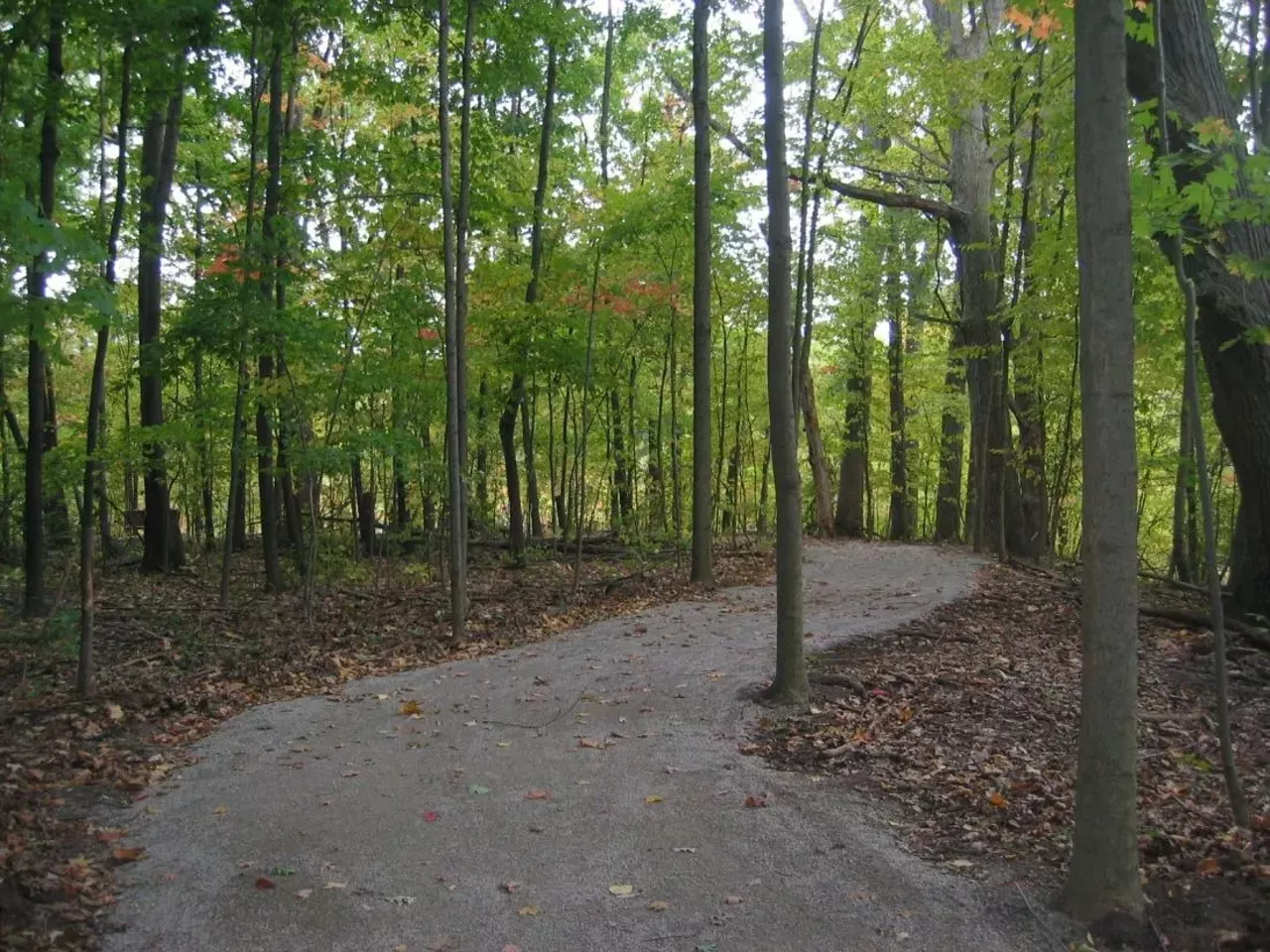 Carpenter Lake Nature Preserve 27215 W 10 Mile Rd., Southfield; 248-796-5000; dnr.state.mi.us Just 30 minutes outside of Detroit is 42 acres of woodlands, forested wetlands, and native meadows, all of which surround Carpenter Lake, and it's still one of southeast Michigan's best-kept secrets.