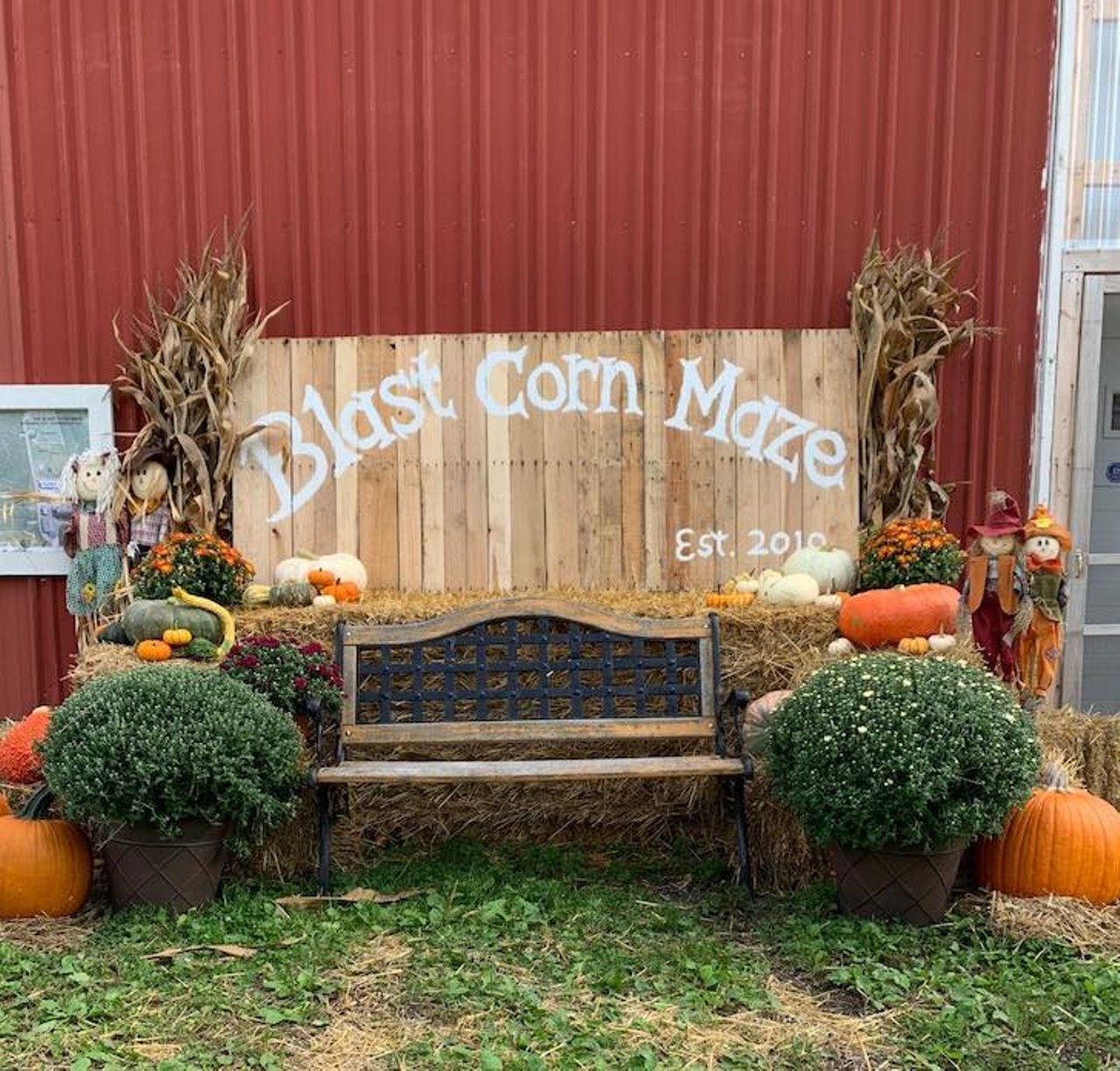 Blast Corn Maze
6175 Daly Rd., Dexter; 734-845-7127; blastcornmaze.com
You&#146;re guaranteed to have a blast at The Blast Corn Maze. The fun doesn&#146;t stop in the corn field, quench your thirst with a cool cider slush or warm up by a fire pit.
Photo via The Blast Corn Maze/Facebook