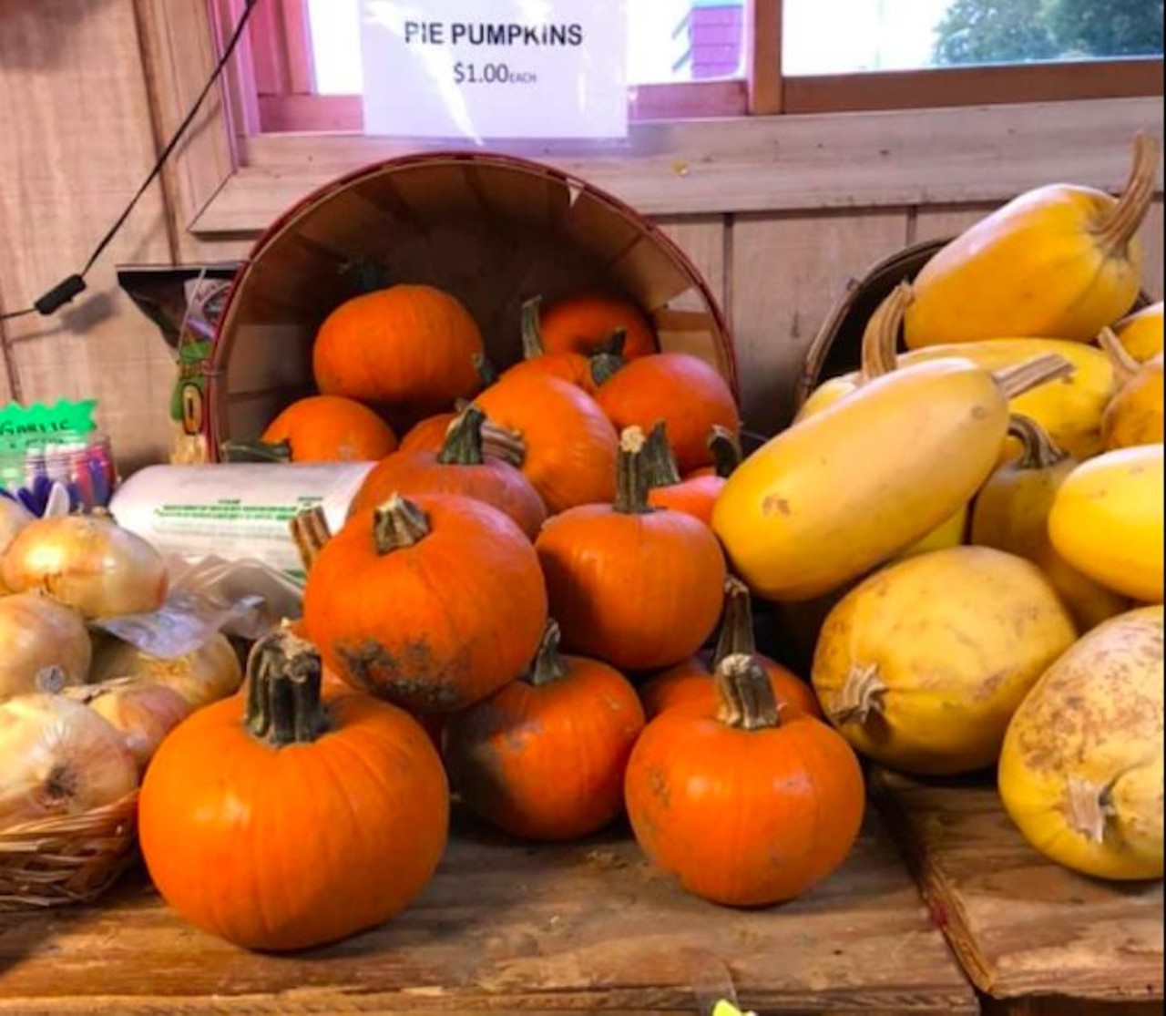 20 pumpkin patches and corn mazes to visit in metro Detroit this fall