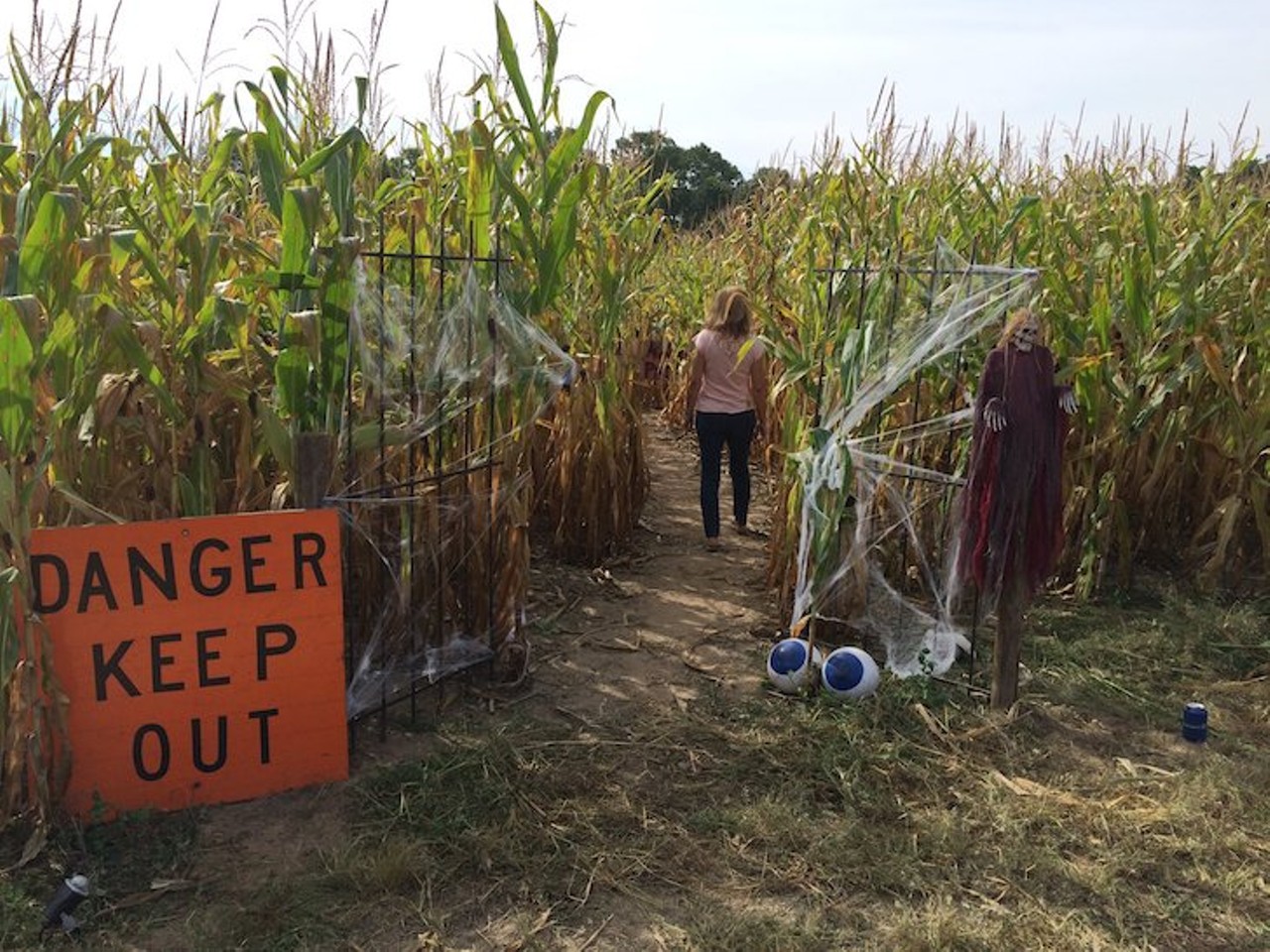 Bonadeo Farms
1215 White Lake Rd., Highland Twp.; 248-787-4553; bonadeofarms.com
The haunted corn maze and haunted house at Bonadeo Farms is back this season. Why not add a little spook to your pumpkin patch adventures?
Photo via Bonadeo Farm/Facebook
