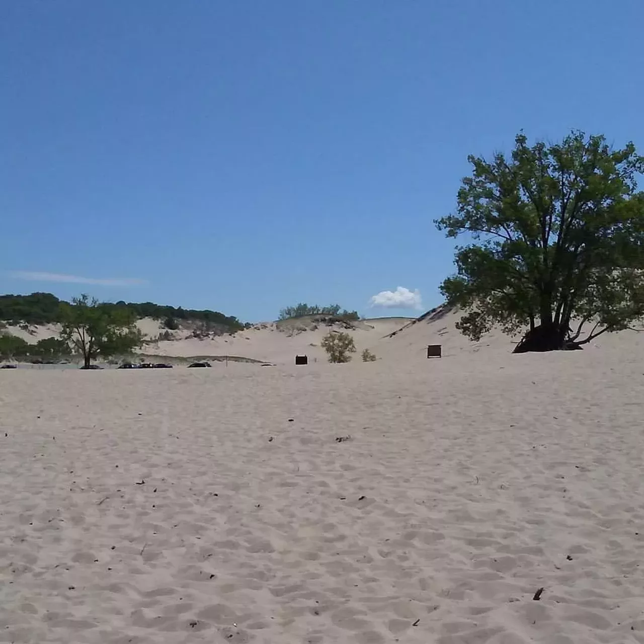 Warren Dunes State Park 12032 Red Arrow Highway, Sawyer; 800-447-2757 Warren Dunes contains three miles of shoreline, and a dune formation that rises 260 feet above the lake with breathtaking views. The park also has 1,952 acres of recreational opportunity, six miles of hiking trails, and 221 modern and rustic campsites with three modern mini cabins open year-round. Photo via Instagram, @rumpff