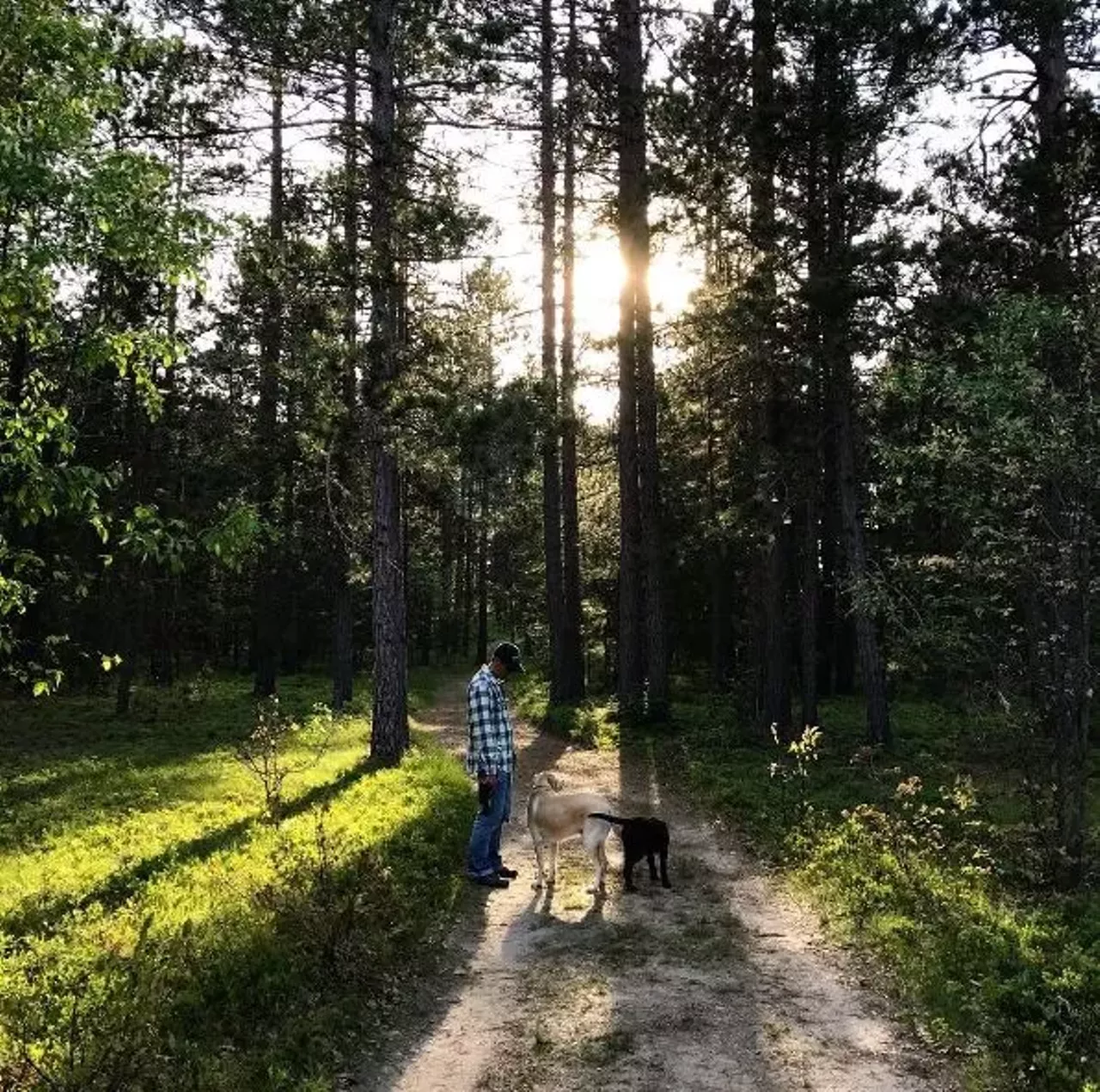 Canoe Canoe Harbor Rd., Grayling; 989-821-6125 Enjoy canoeing, trout fishing, hiking pathway, and 54 sites for tent and small trailer usage on the South Branch Au Sable River. With no reservations required, all you need is a recreation passport, and the campground can be yours. Photo via Instagram, @lesliemcintyre