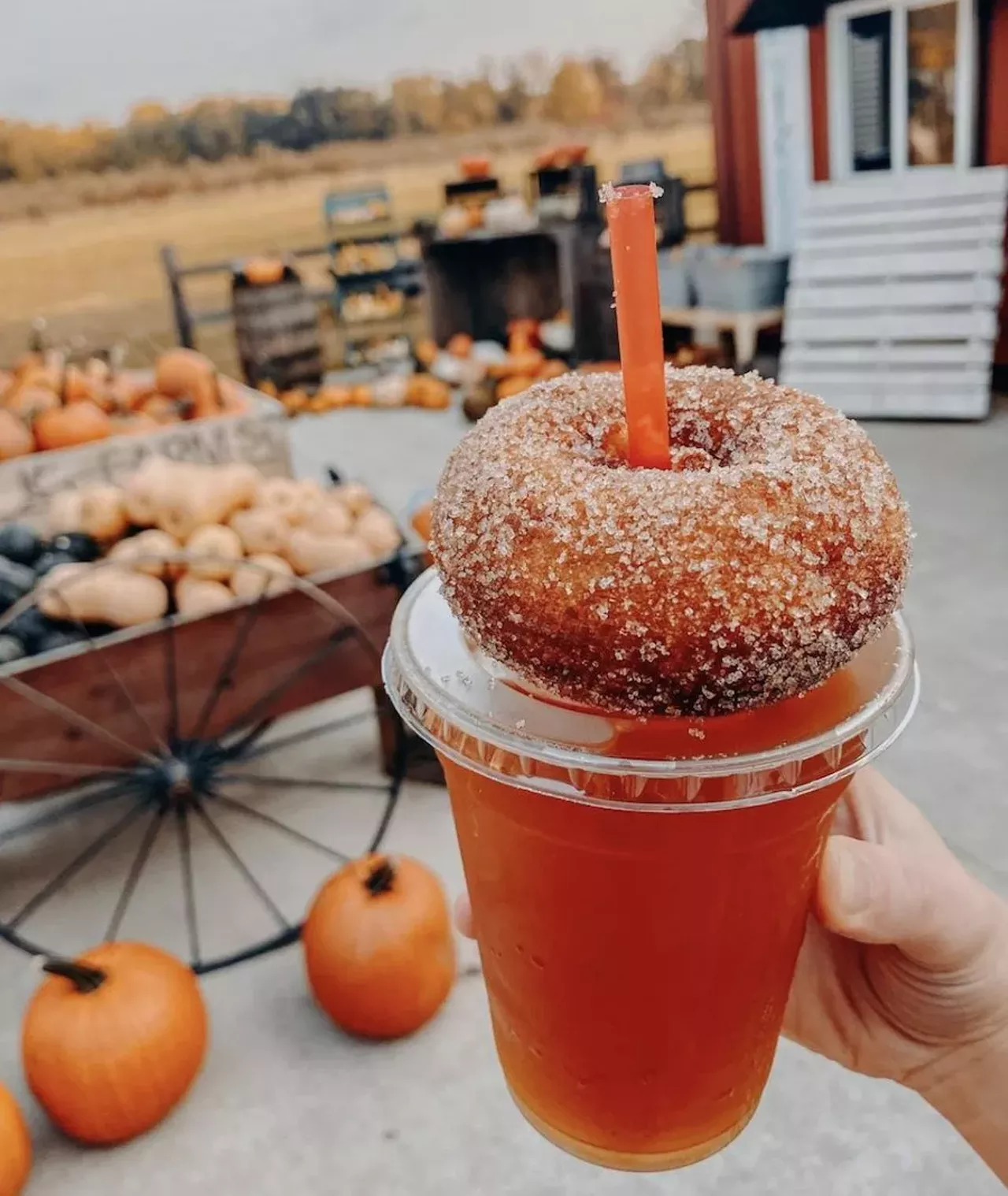 Catch some final fall feels at a cider mill We are very fortunate to have an entire season that basically revolves around leaves changing colors and gorging ourselves on apple cider and donuts, fresh from one of Michigan&#146;s many delicious and beautiful cider mills and orchards, many of which remain open well after Halloween. Do-nut miss out on one last chance to get stuffed and stretch fall out a little bit longer. Photo via Flavor Fruit Farm/Facebook