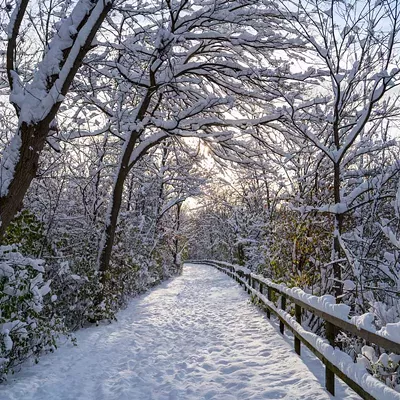  Take a hike Put down your phone and go outside. It might be too cold to go touch grass as the kids like to say, but taking a stroll in nature is always a great way to exercise and unplug. Metro Detroit has a number of great hiking trails &mdash; see our list of 20 places to hike within driving distance of Detroit. 