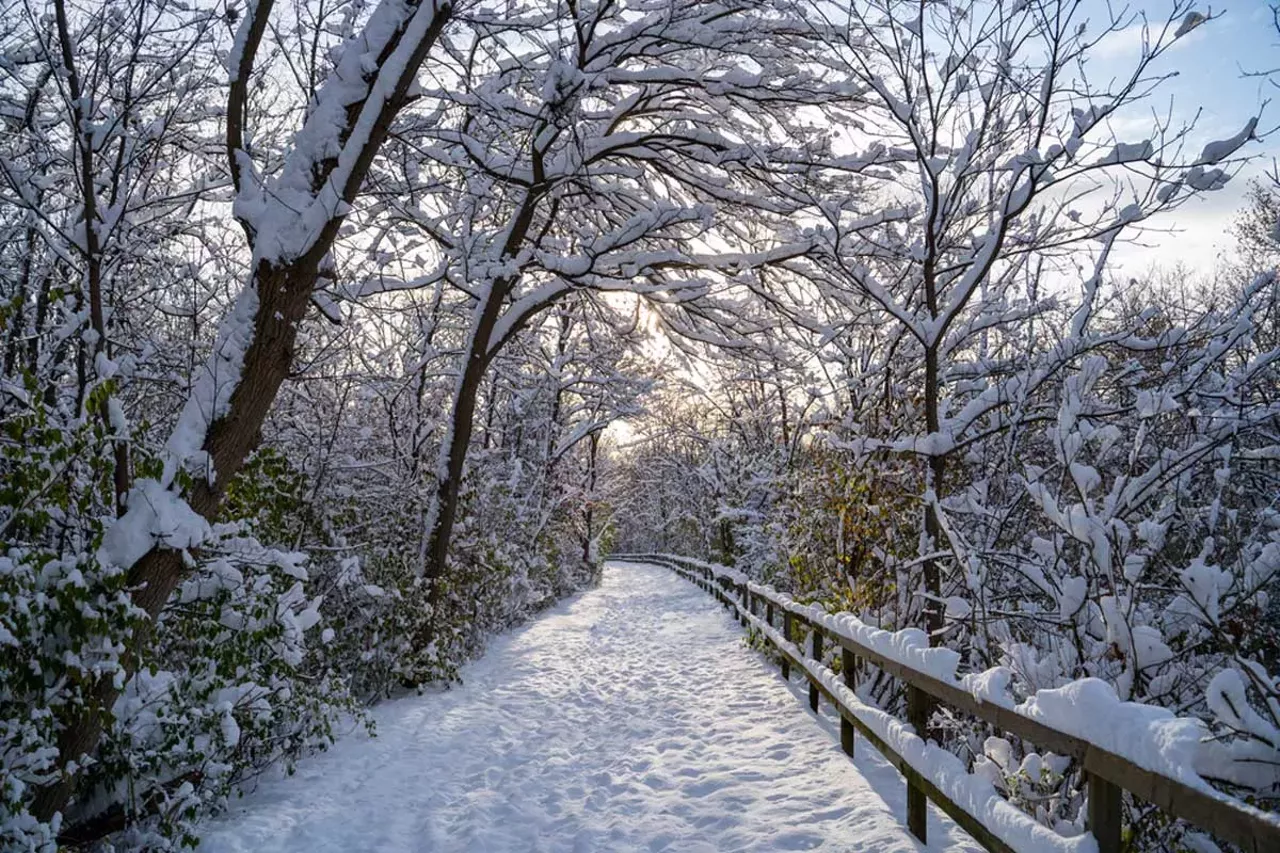  Take a hike Put down your phone and go outside. It might be too cold to go touch grass as the kids like to say, but taking a stroll in nature is always a great way to exercise and unplug. Metro Detroit has a number of great hiking trails &mdash; see our list of 20 places to hike within driving distance of Detroit. 