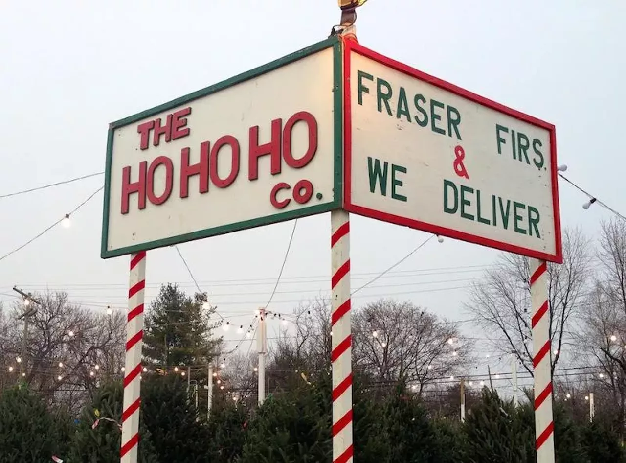 Find the perfect Christmas tree at one of these Michigan tree farms