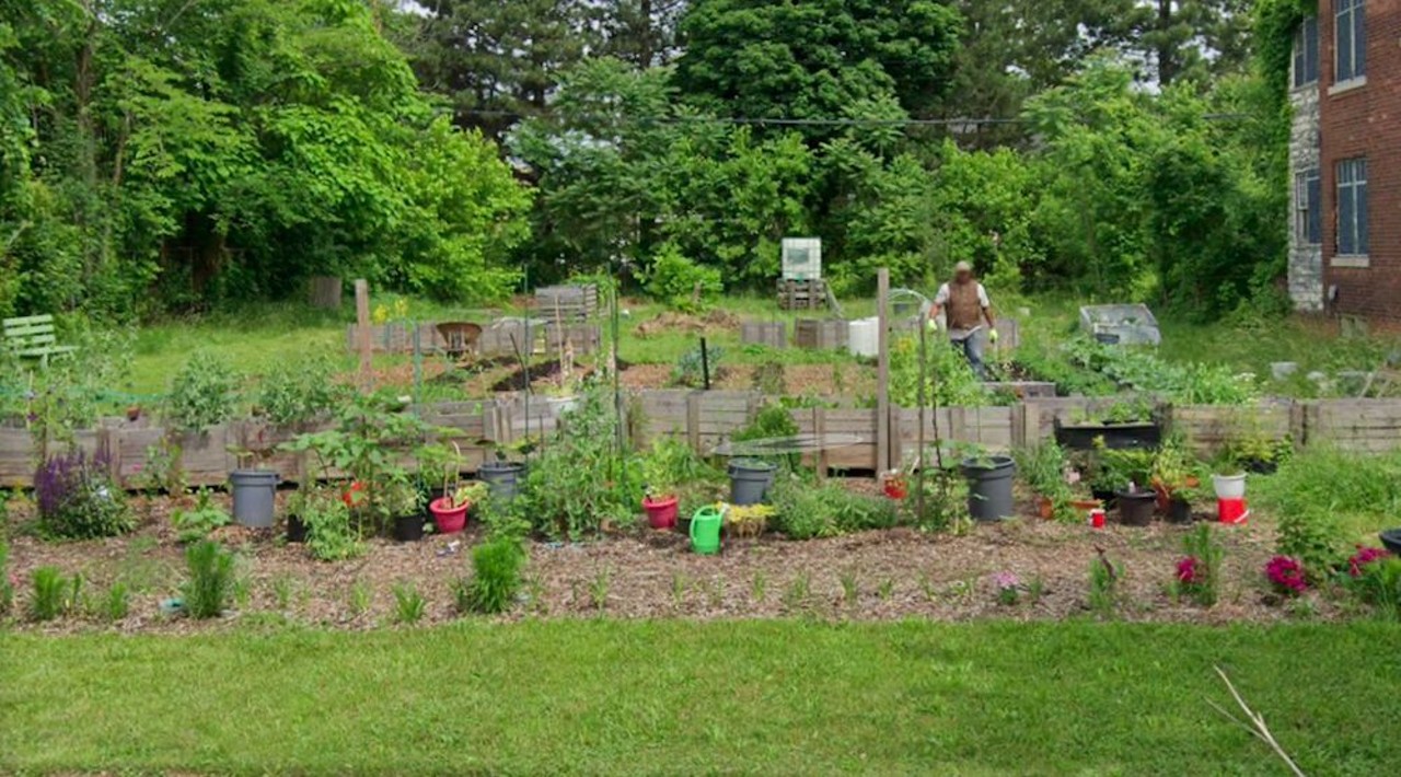 CWO Farms
2070 Virginia Park St., Detroit; 313-690-3342; cornwineoil.com
CWO Farms&#146; goal is to promote more earthscape in the city. They grow various fresh fruits, flowers, and vegetables. They also fertilize and sow seeds organically.
Photo via Google Maps 