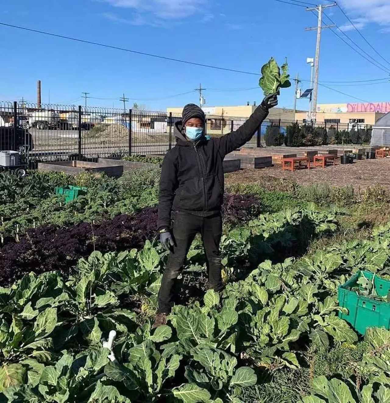 Keep Growing Detroit Farm 1850 Erskine St., Detroit; 313-656-4769; detroitagriculture.net Keep Growing gives Detroit residents the opportunity to grow and consume their own fruits and vegetables. Founded in 2013, Keep Growing works to engage with and address the immediate needs of the community. Photo via Keep Growing Detroit/Facebook